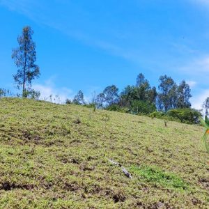 Se Vende Terreno Plano en Parte alta de Vilcabamba