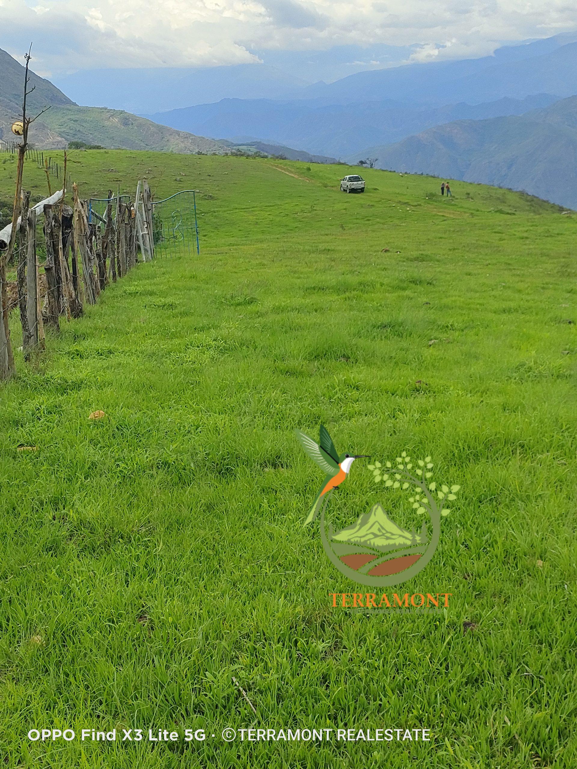 Magnifica finca en Venta cerca de Vilcabamba (1 hora)