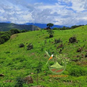 Magnifico Terreno en Venta a 30 km de Vilcabamba