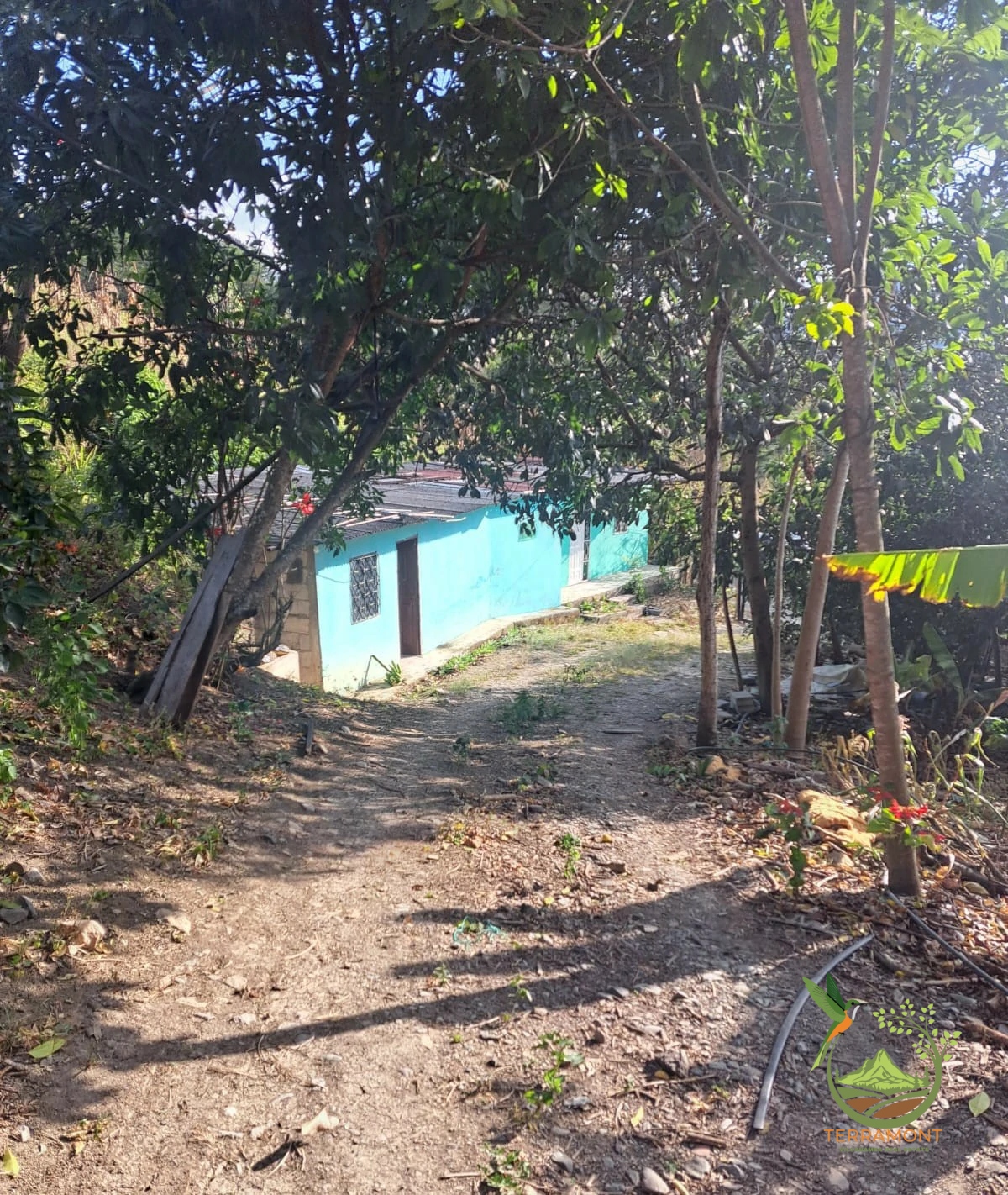 931f0fe4-5b7d-449f-af2f-10ecf1e4d440