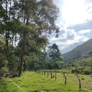 Se vende finca de 130 hectáreas (321 Acres) al sur oeste de Vilcabamba...