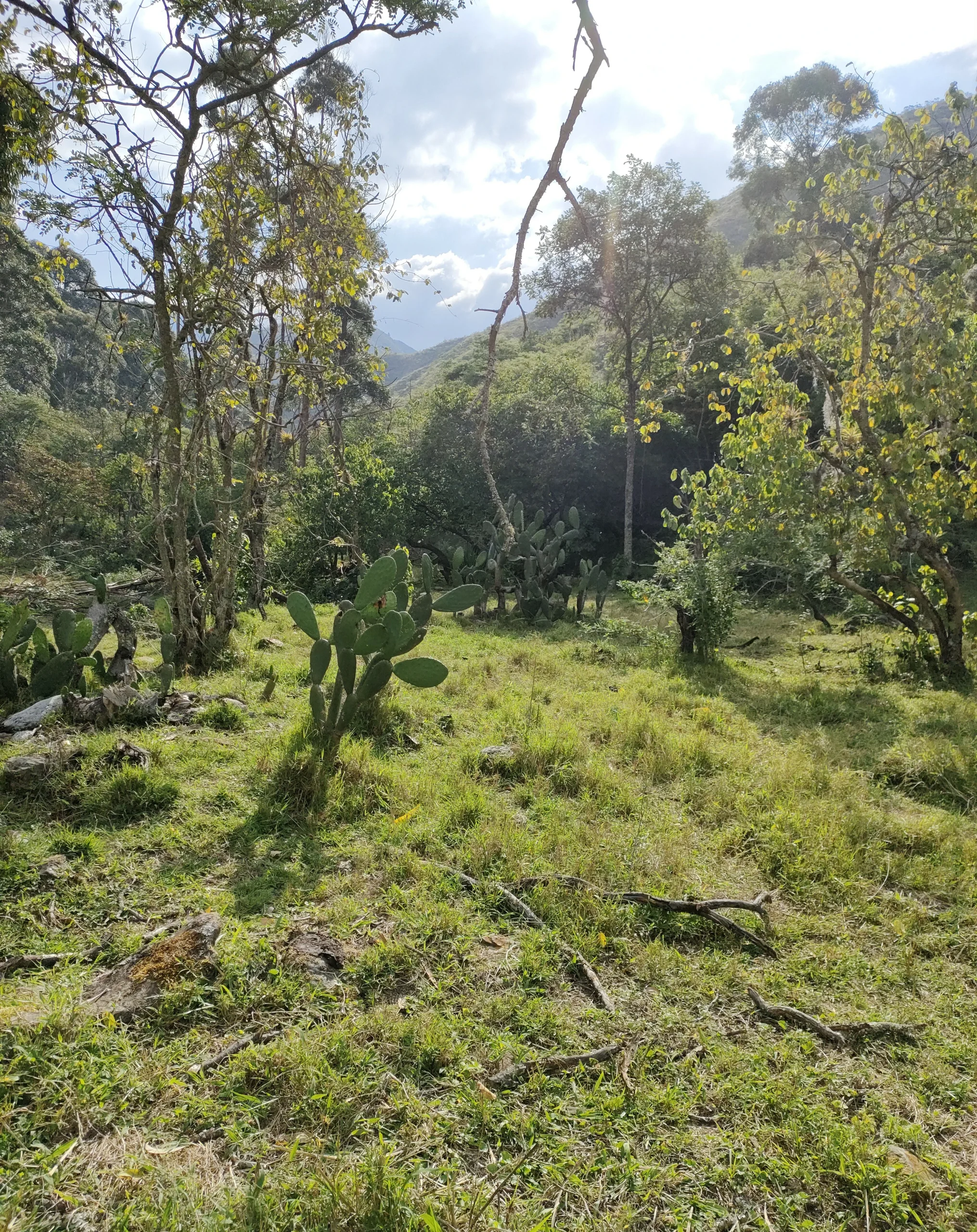 IMG20221112153756