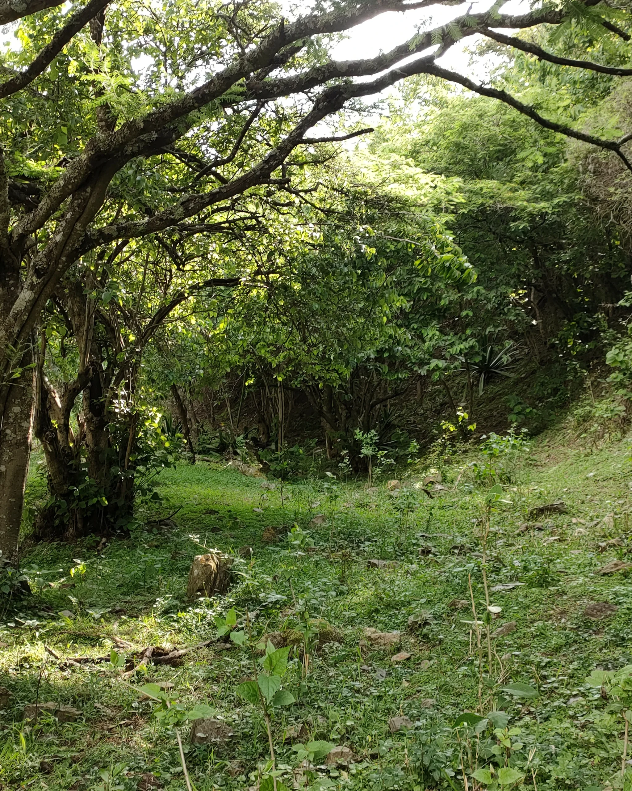 IMG20221112153850