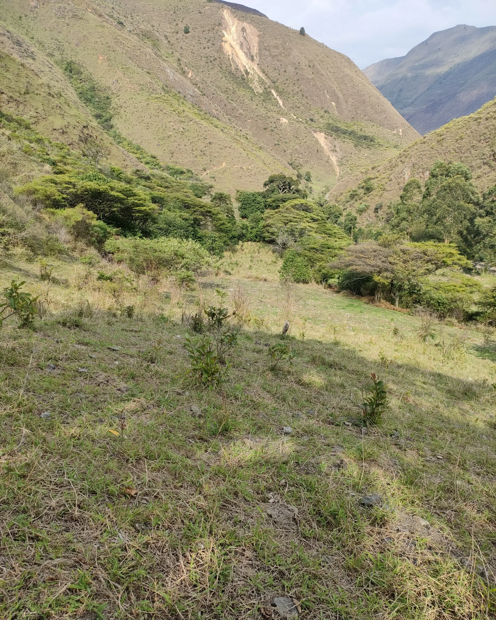 IMG20221112154504