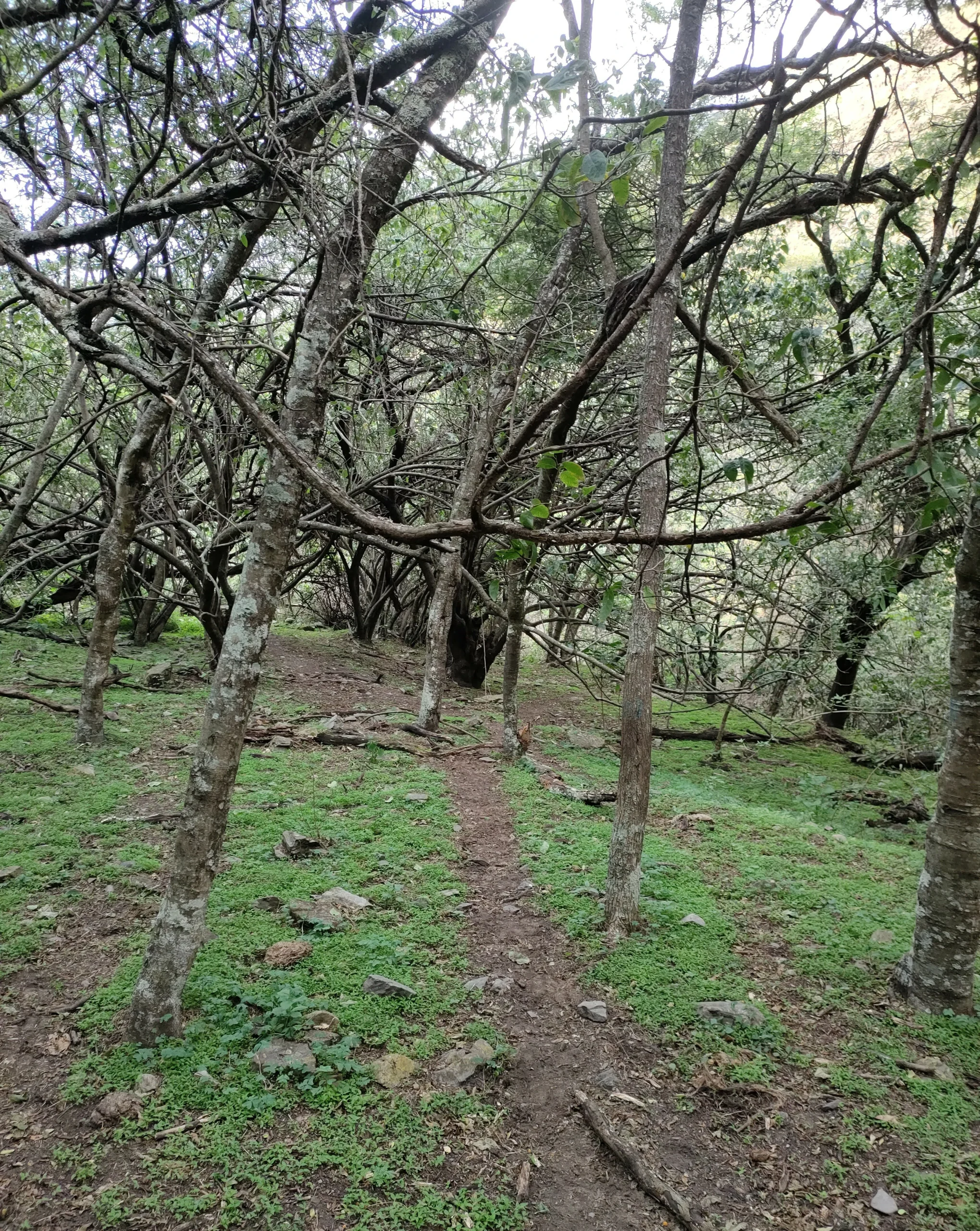 IMG20221112155124