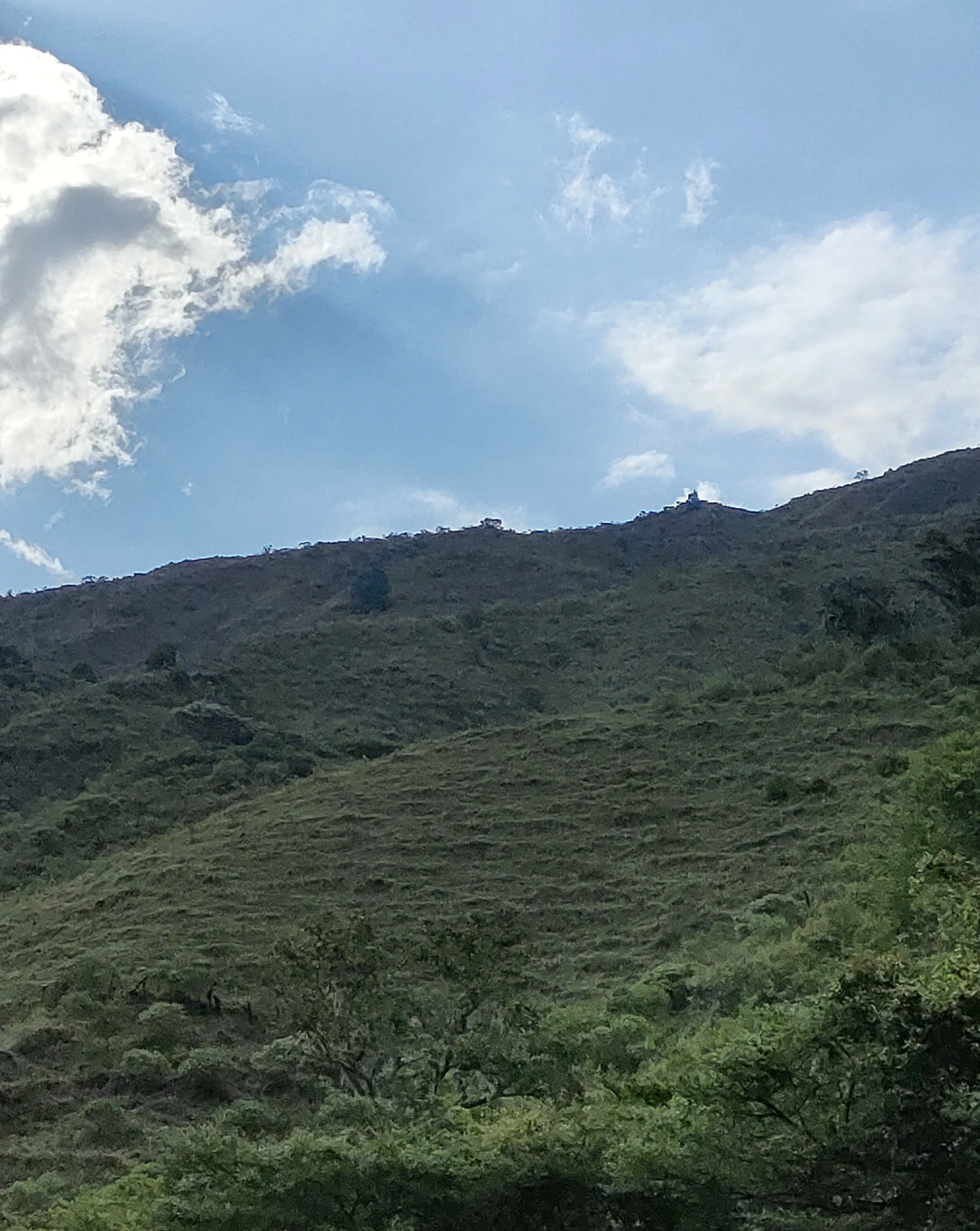 IMG20221112155815