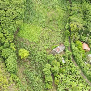 Hermoso Lote de Terreno de venta en Vilcabamba
