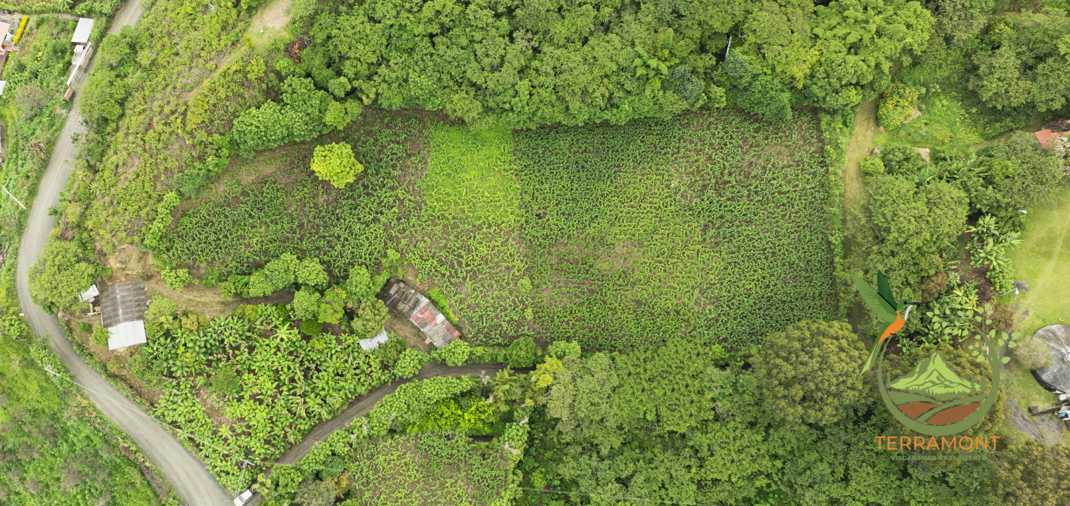 Hermoso Lote de Terreno de venta en Vilcabamba