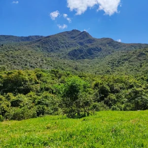 Grande Finca de Venta (300 hectareas (741.316 Acres)...