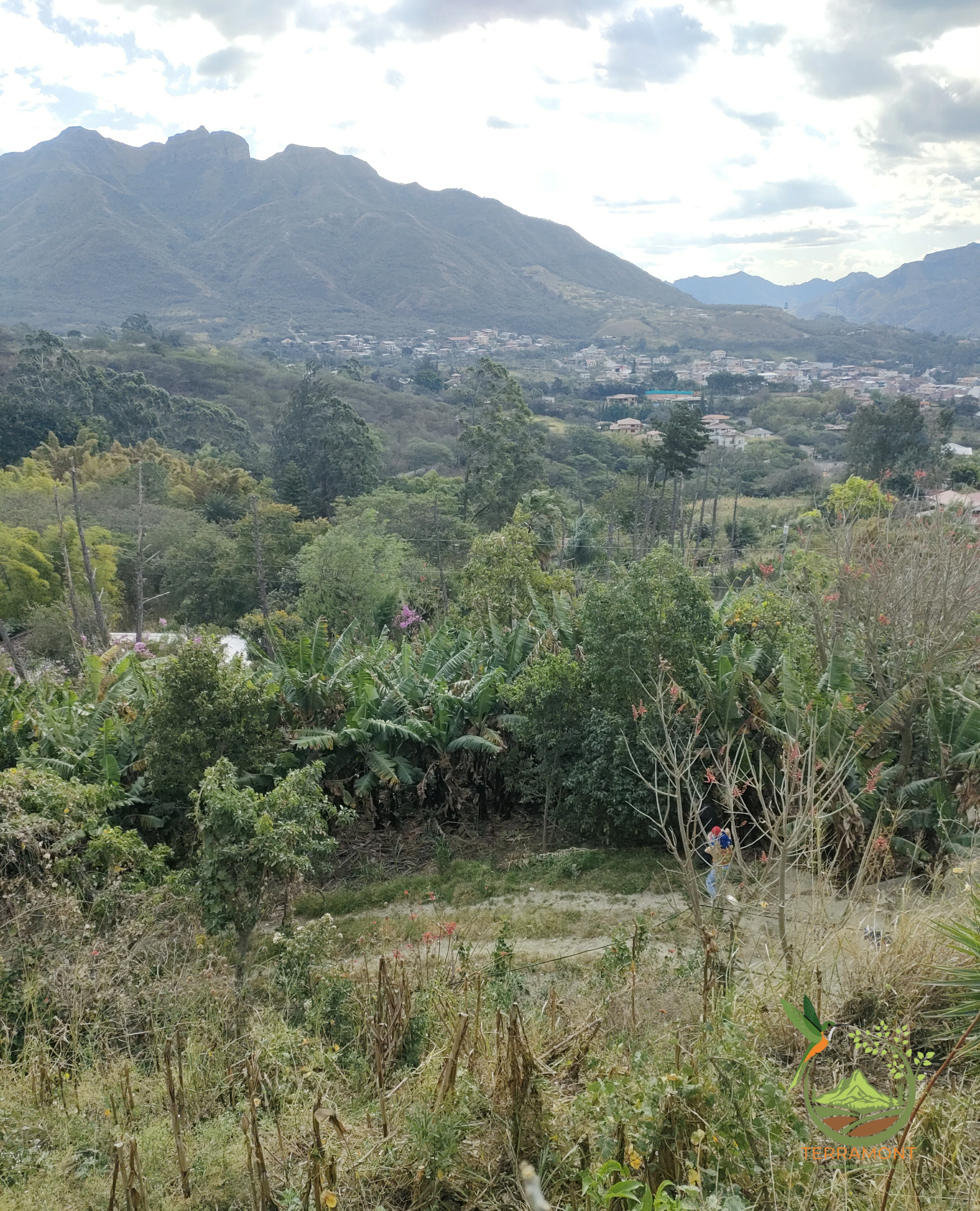 Hermoso Lote de Terreno de venta en Vilcabamba