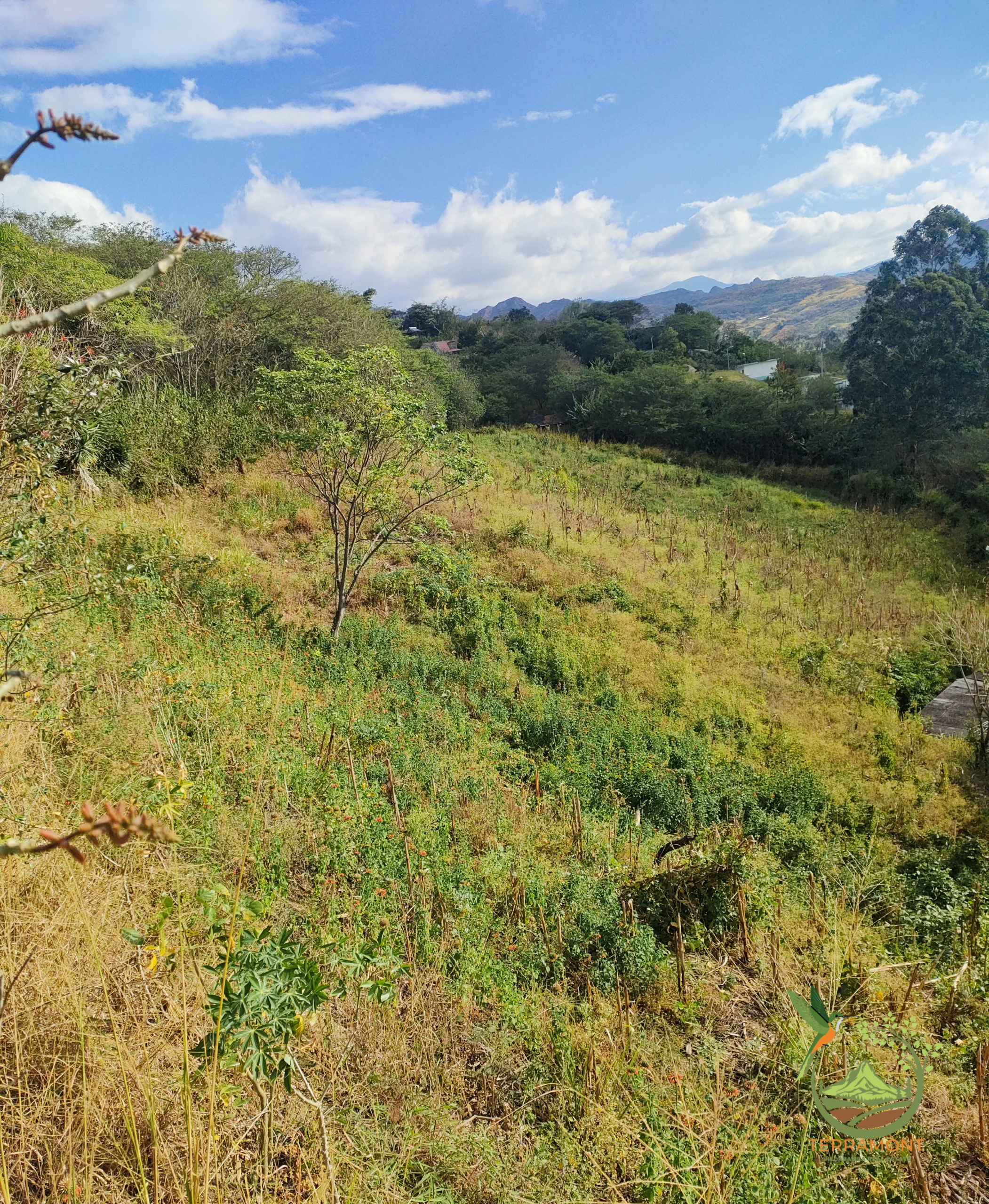 Hermoso Lote de Terreno de venta en Vilcabamba