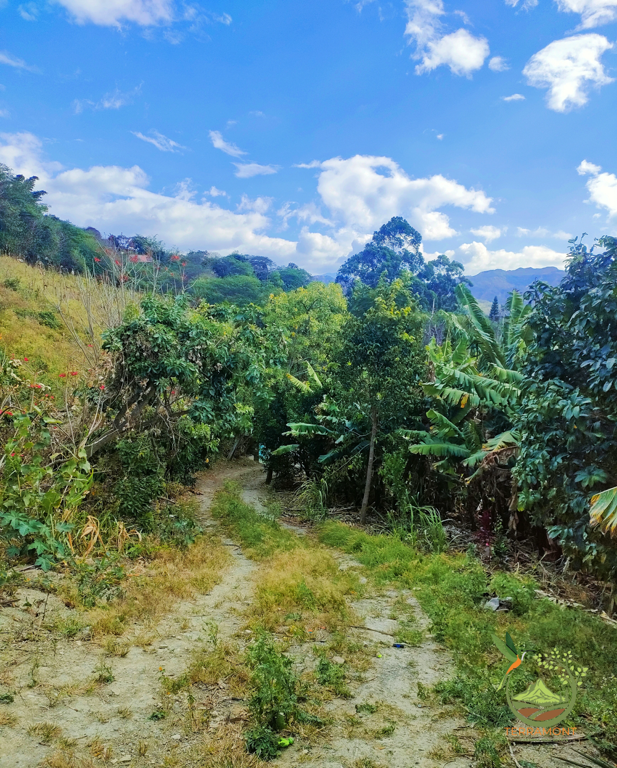 Hermoso Lote de Terreno de venta en Vilcabamba
