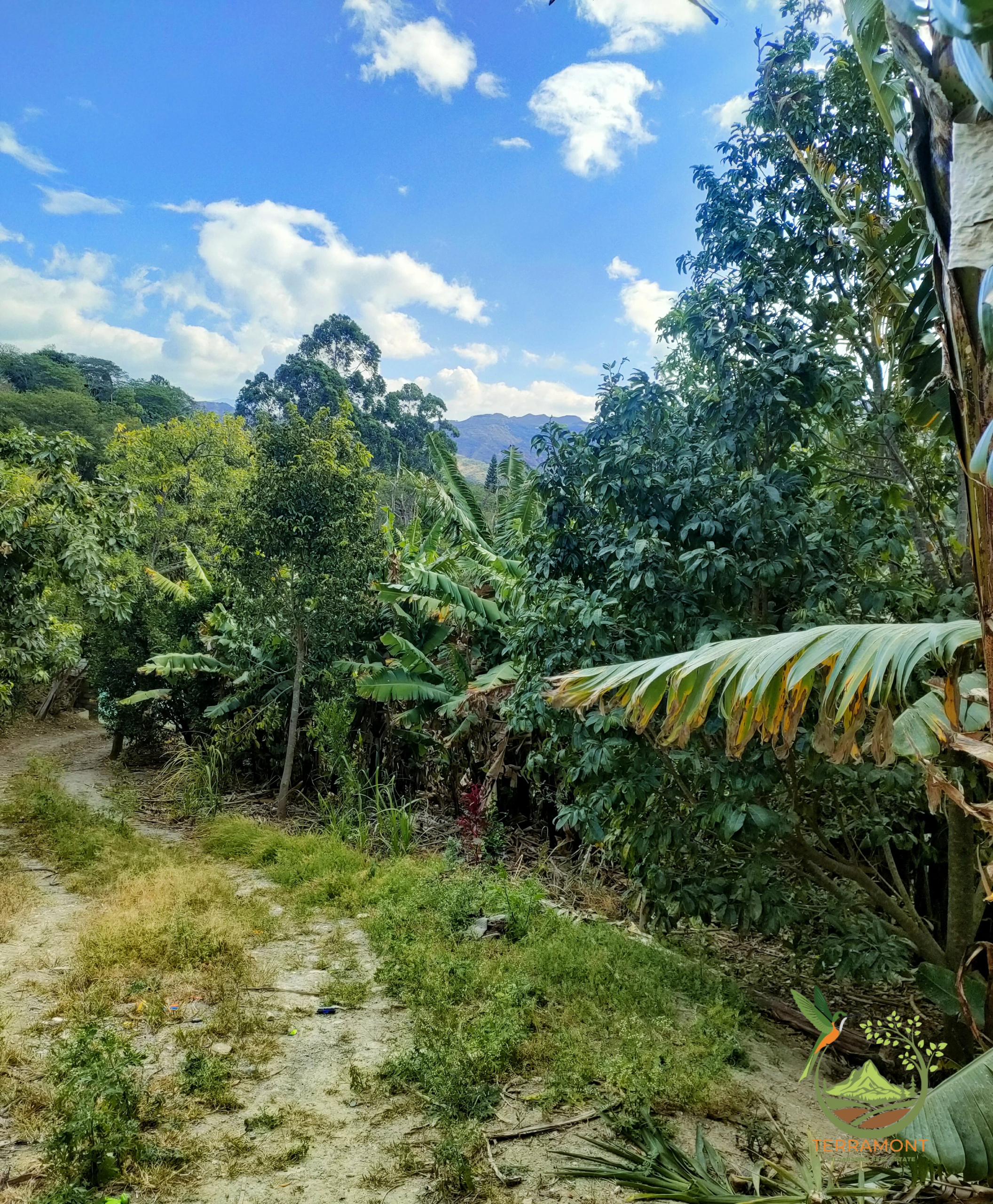 Hermoso Lote de Terreno de venta en Vilcabamba