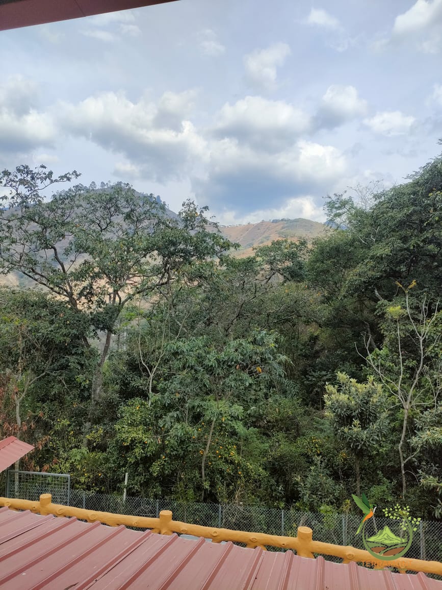 Imagen de WhatsApp 2025-06-17 a las 10.13.36_d0744e7e