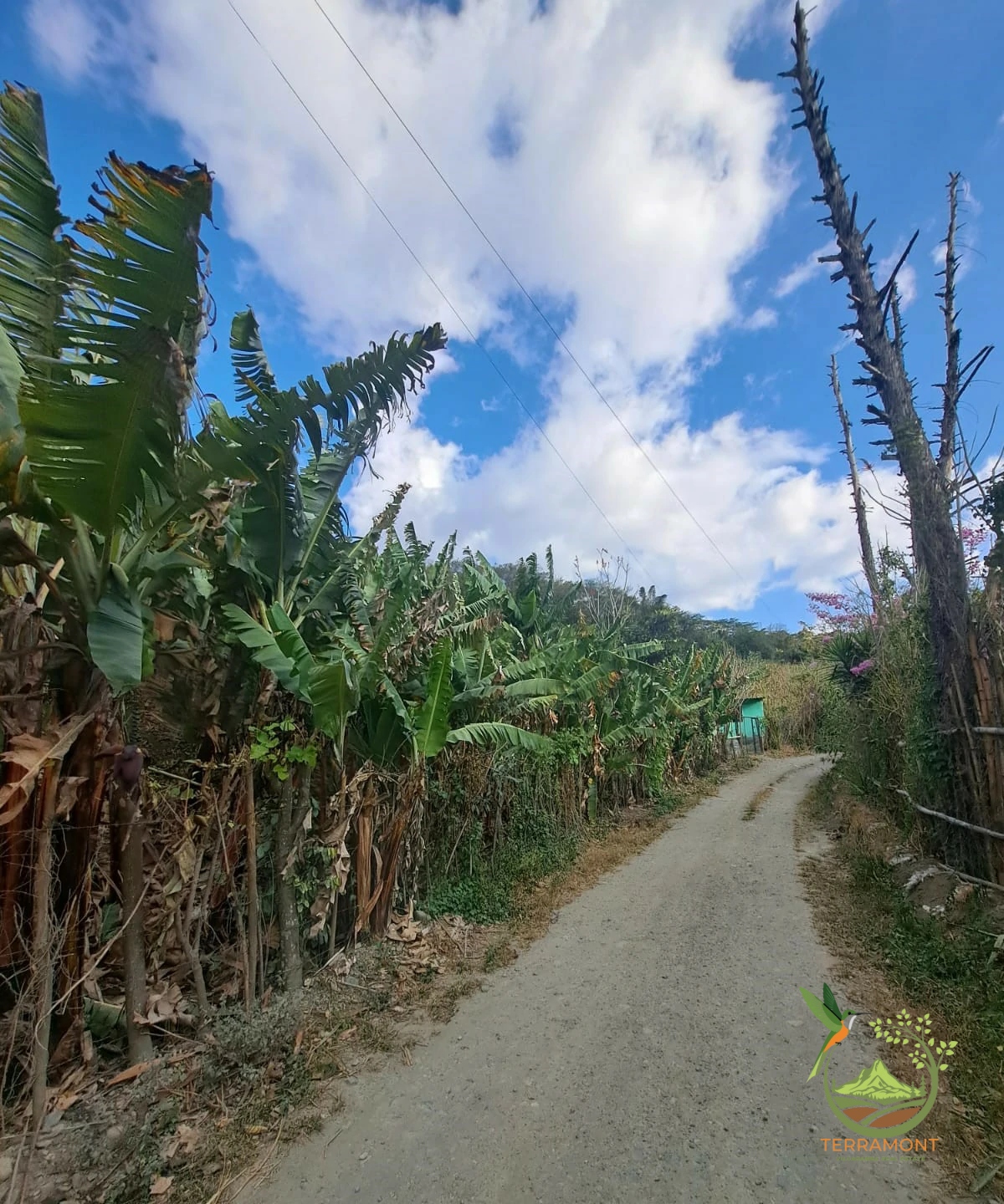 af1f0356-4b2c-431a-b07f-f9df26309597