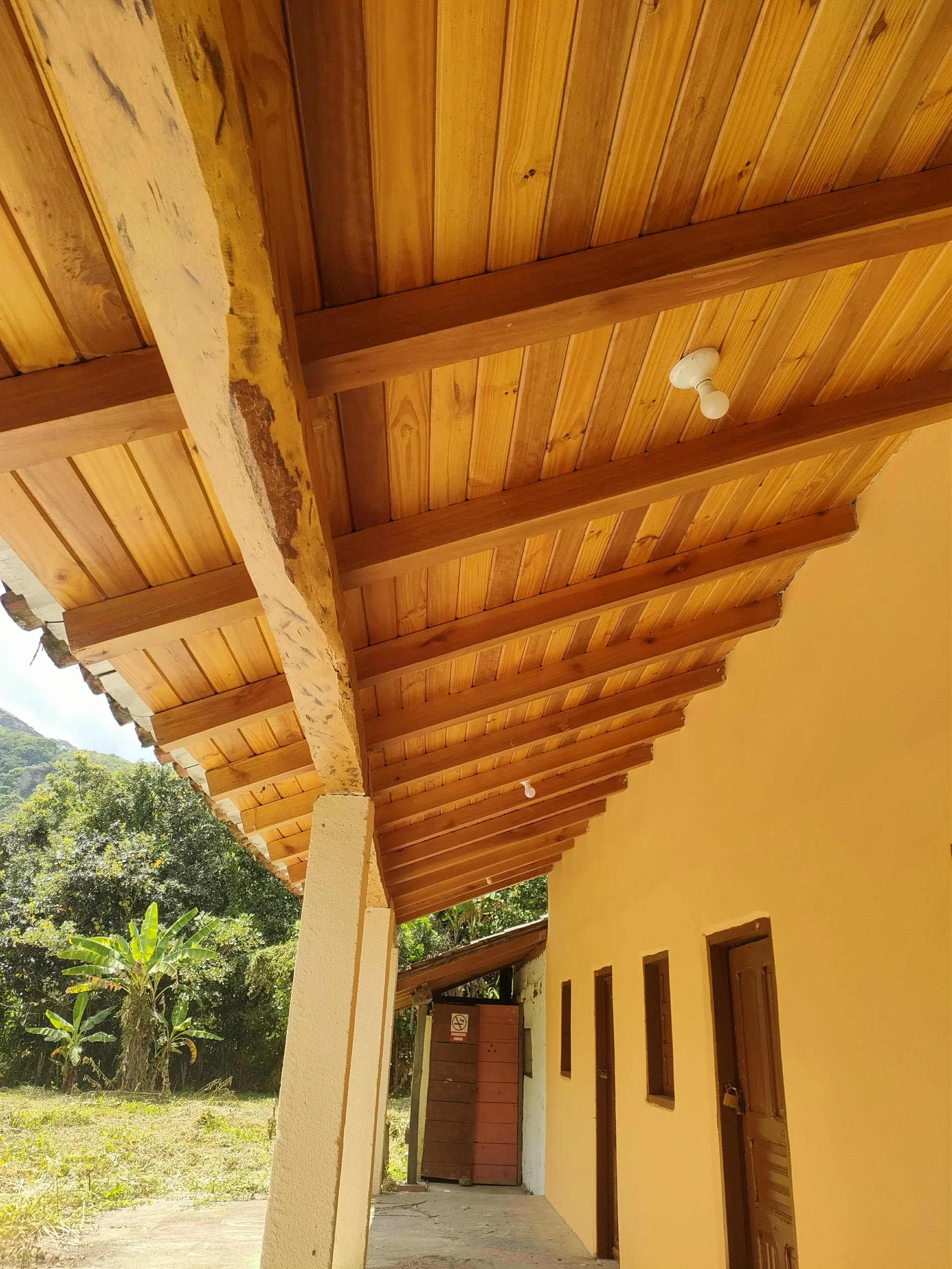 IMG20240413105013