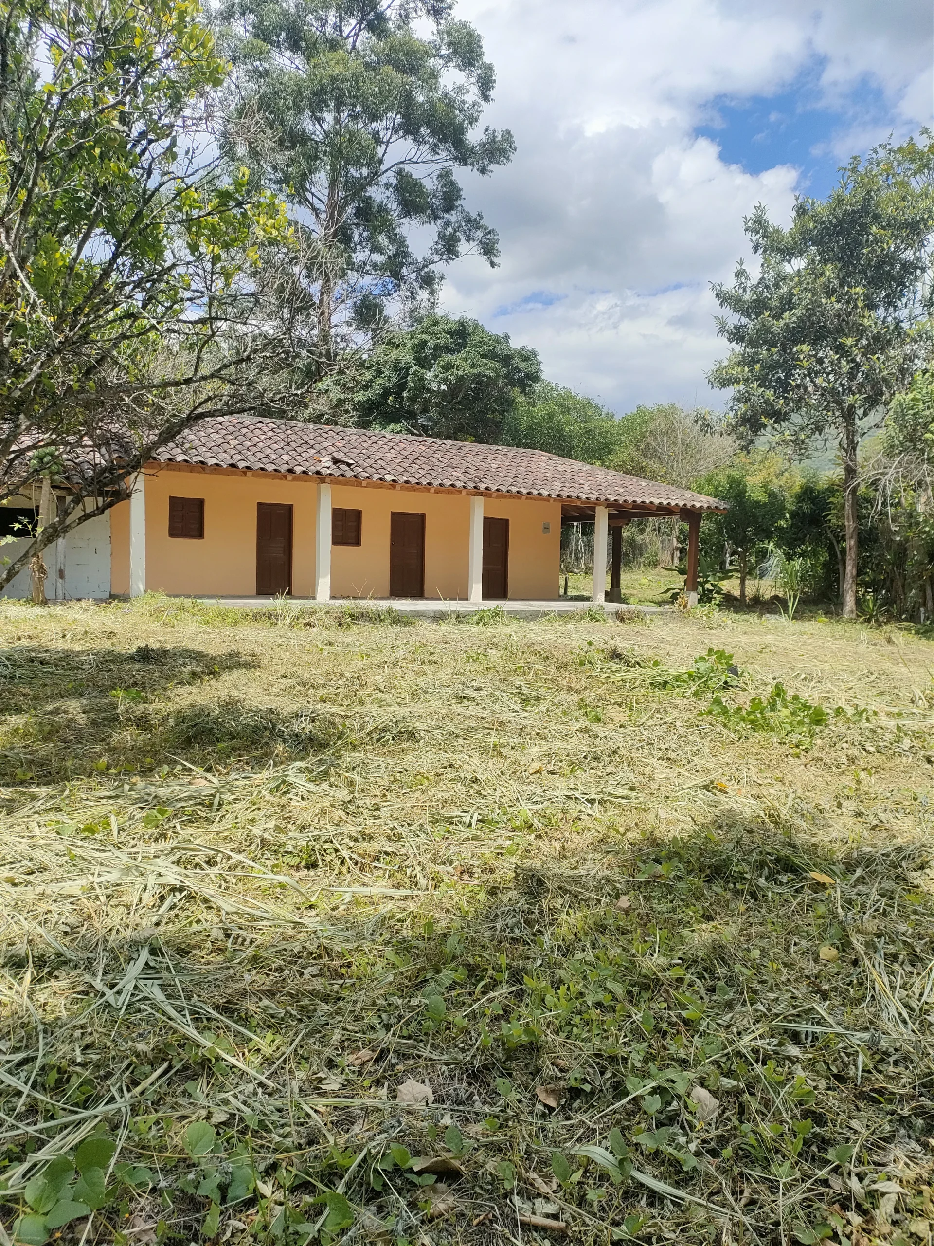 IMG20240413105918