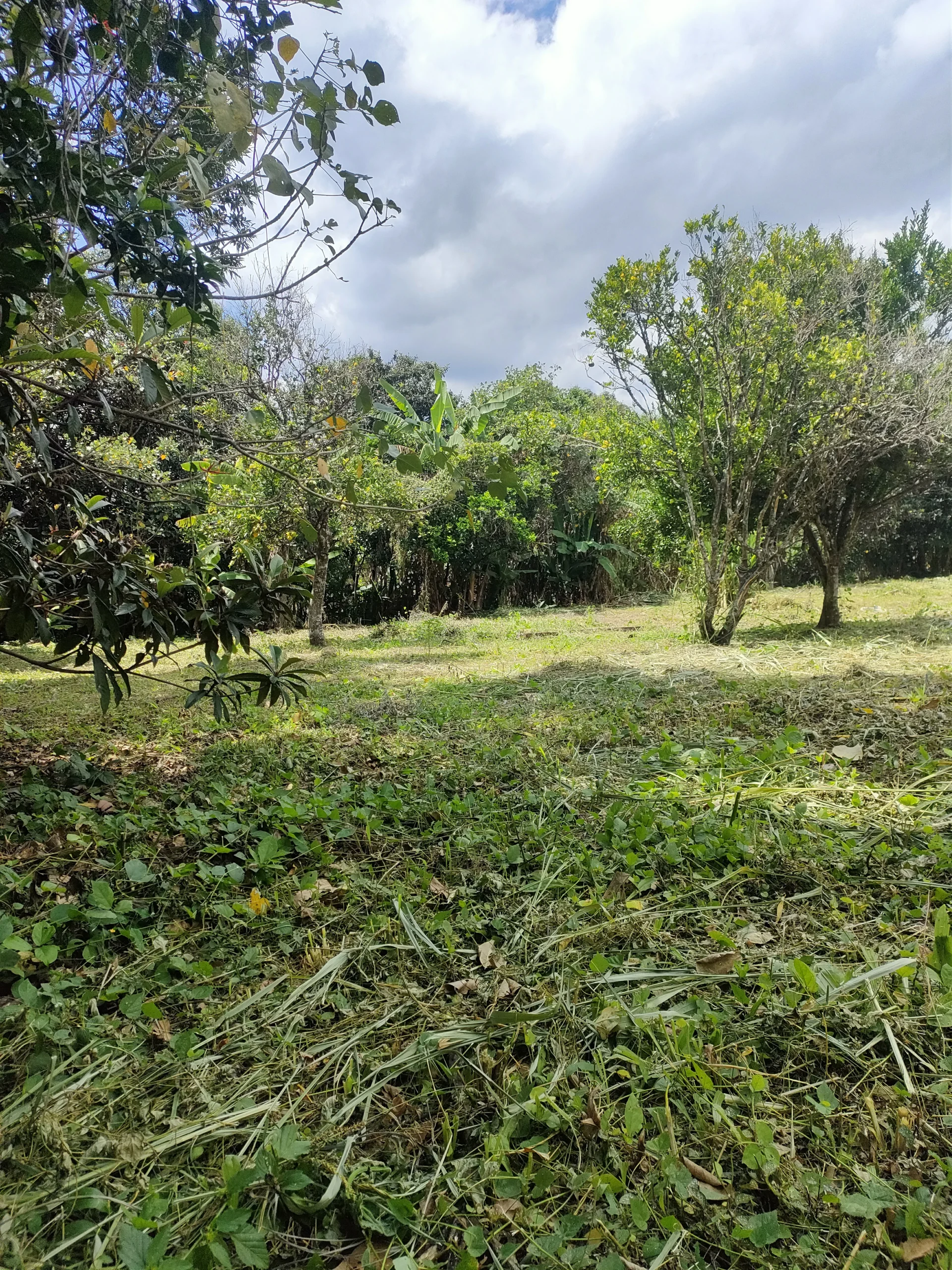 IMG20240413105932