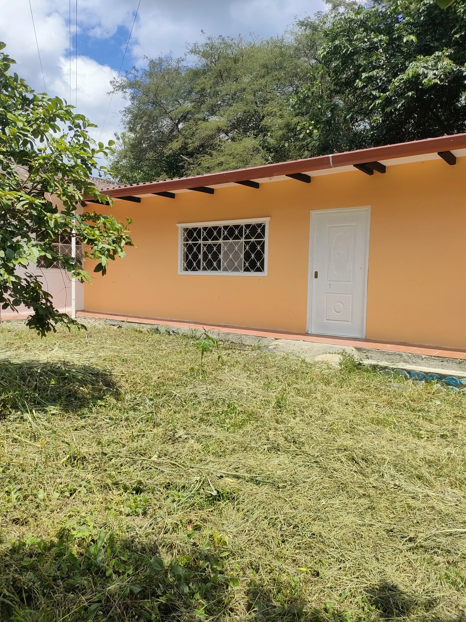 IMG20240413110139