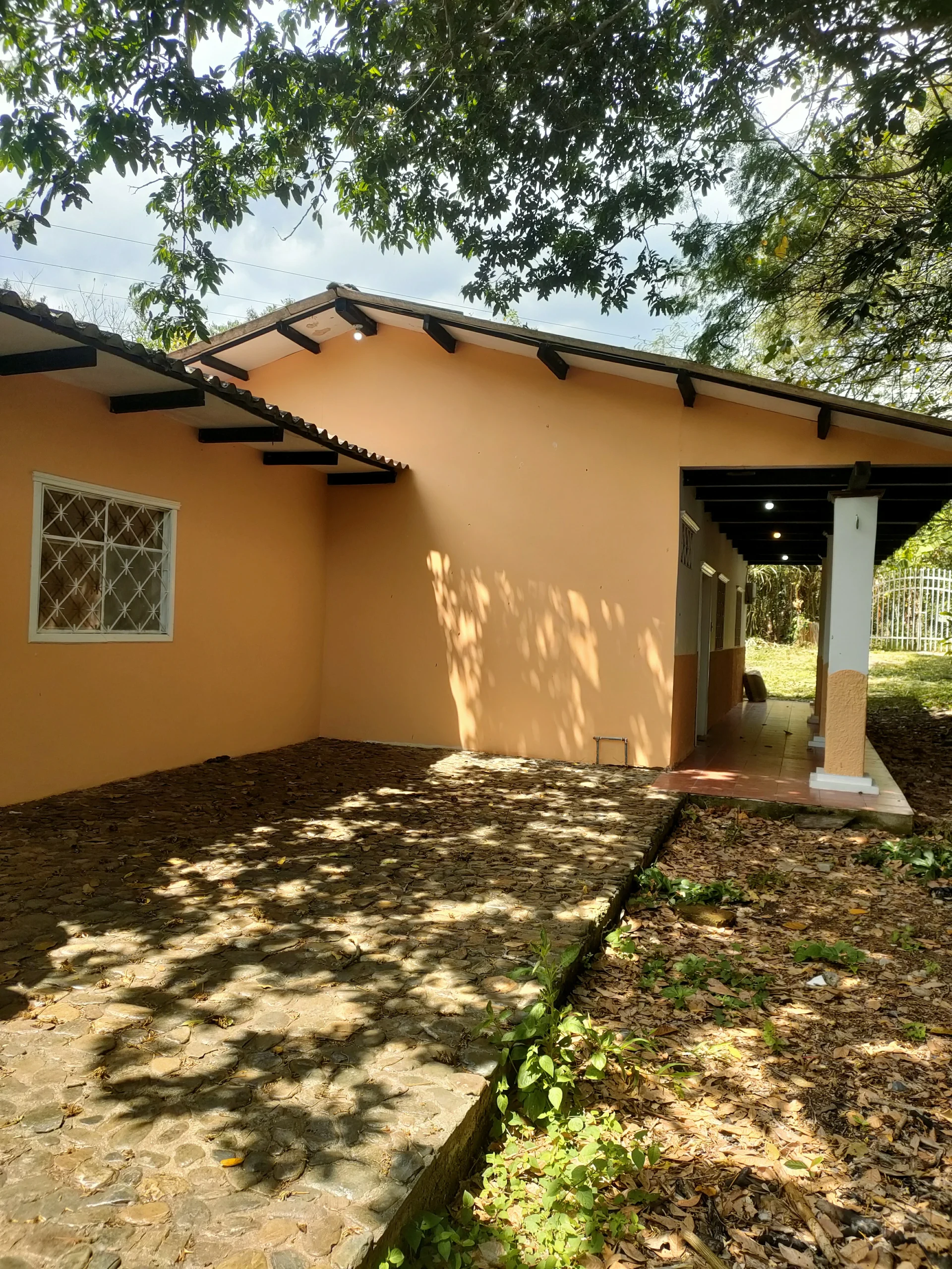 IMG20240413110216