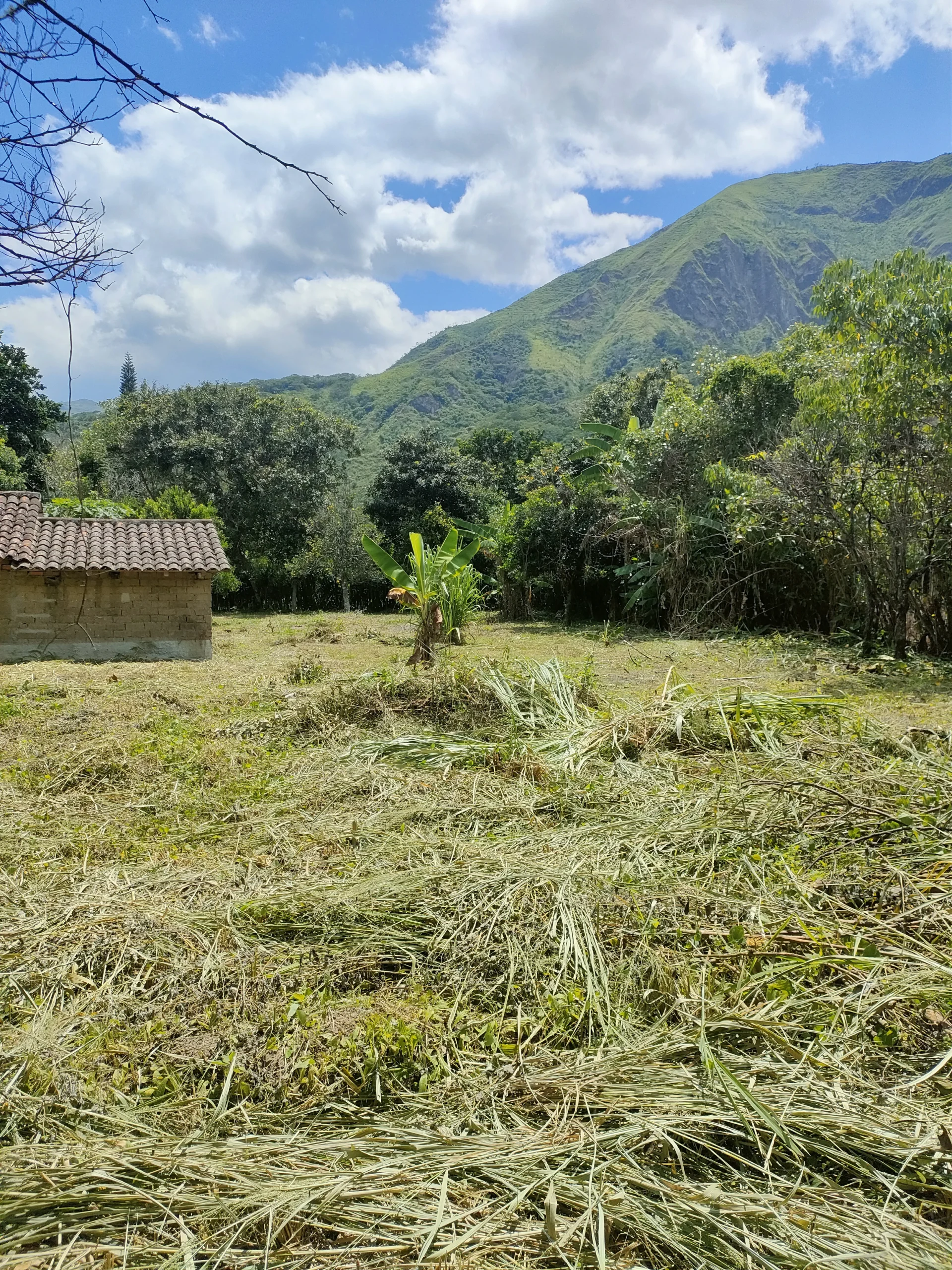 IMG20240413110544