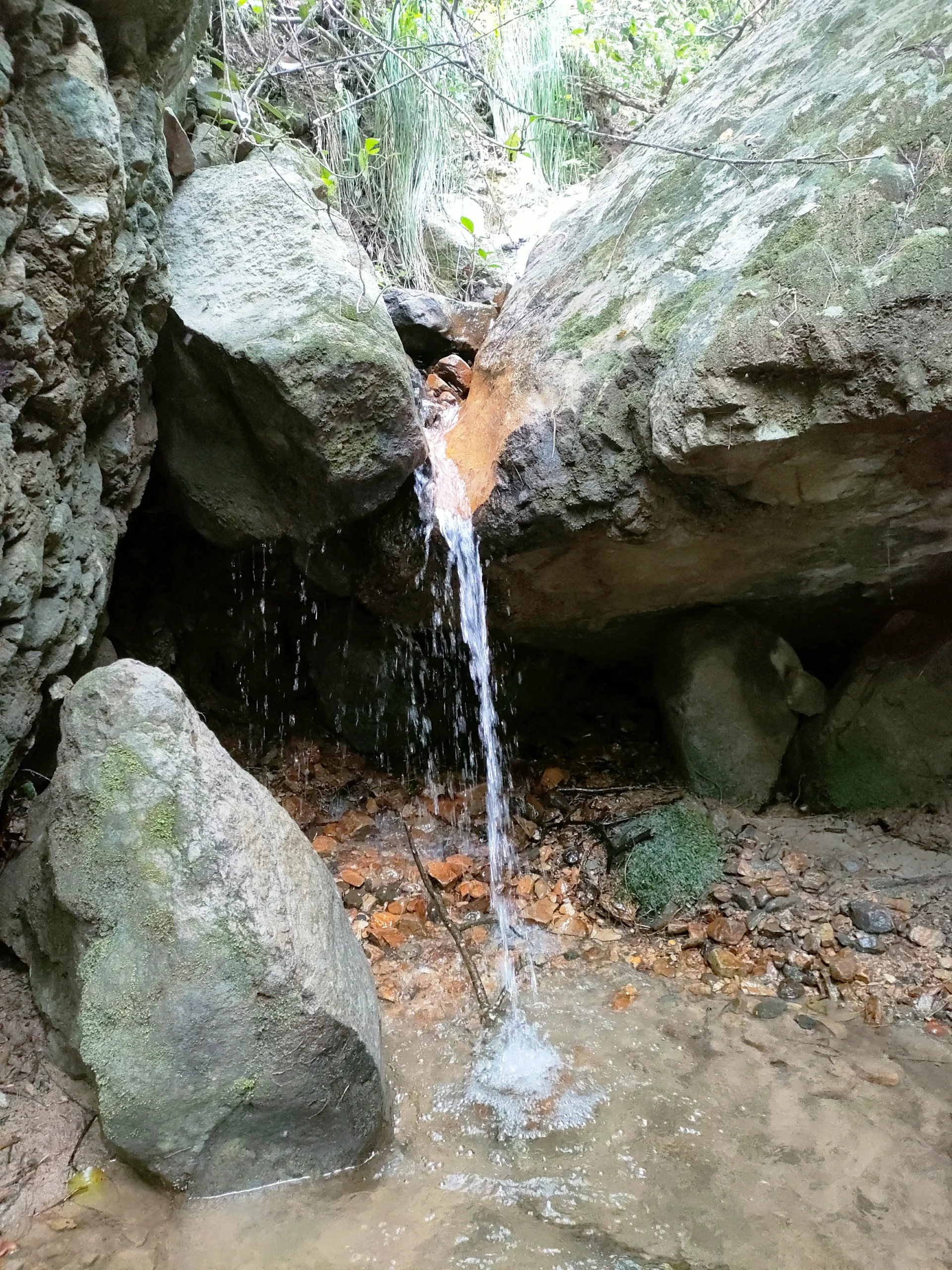 IMG20240425102408