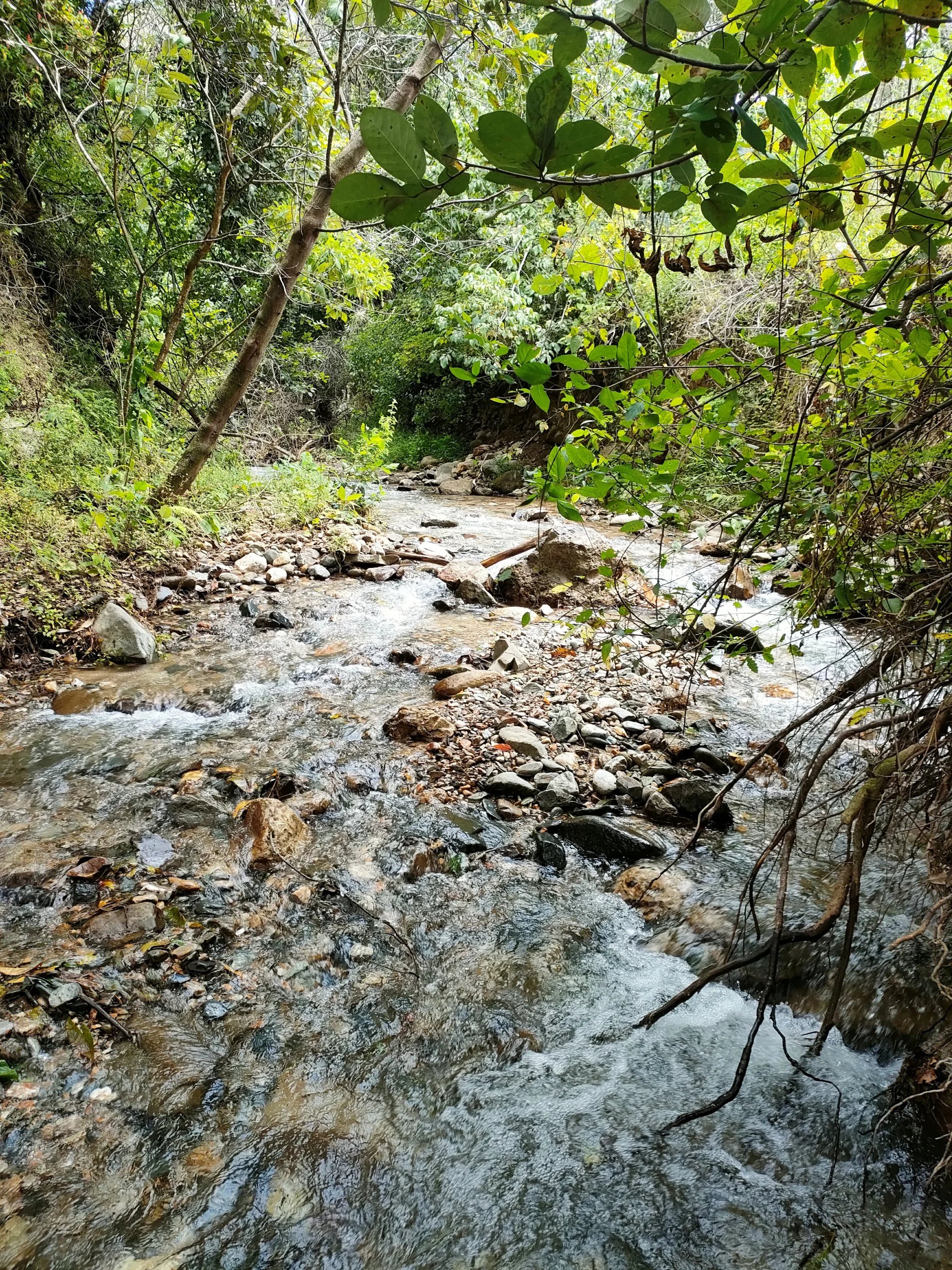 IMG20240425113818