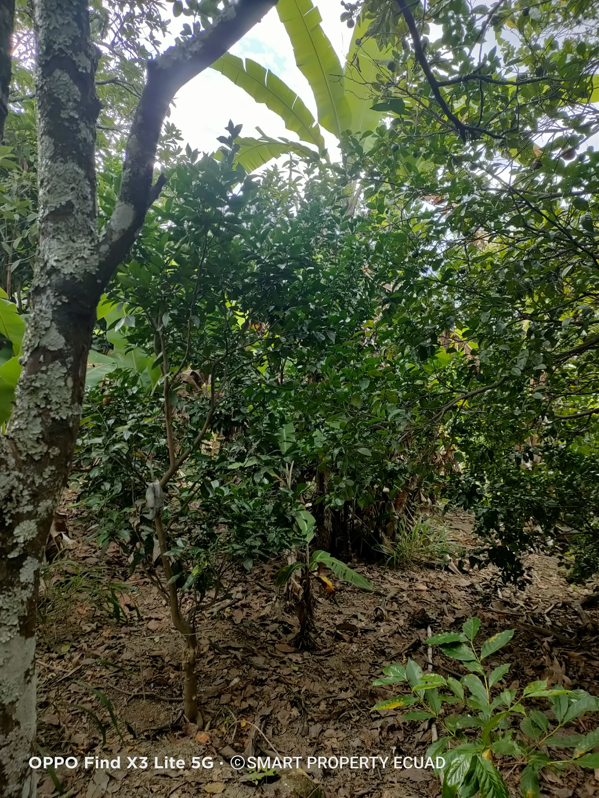 IMG20240523162648
