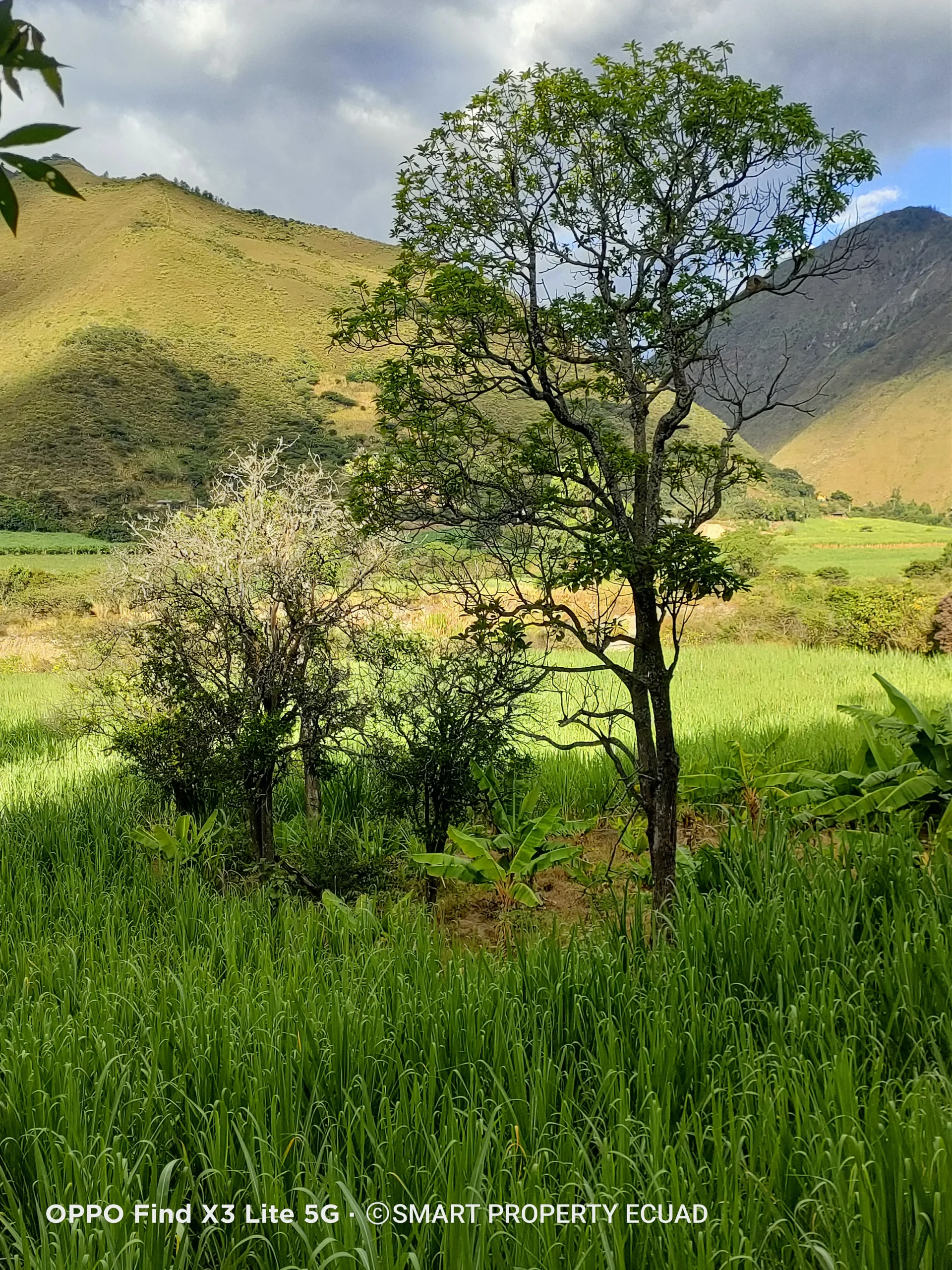 IMG20240523163026