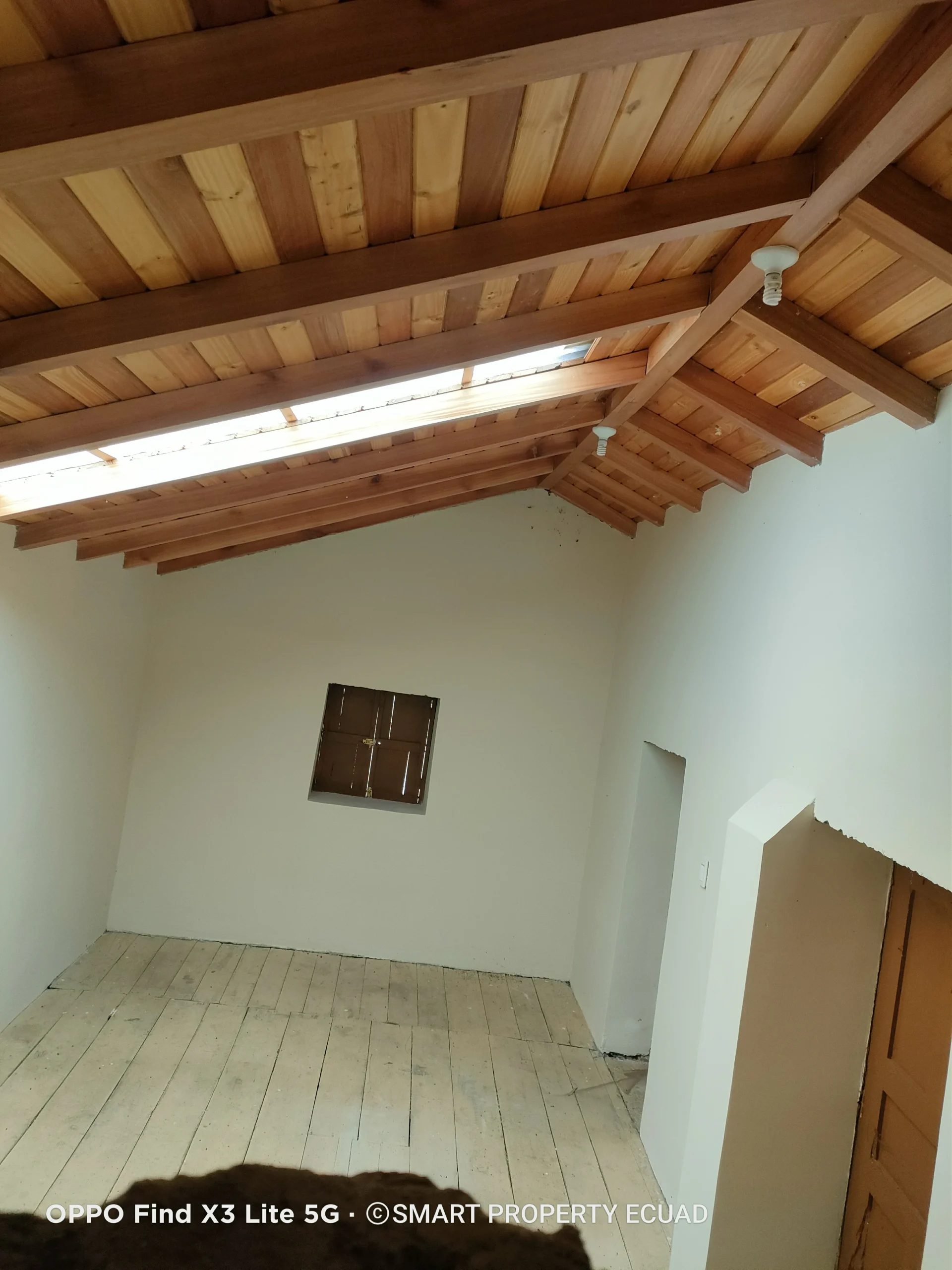 IMG20240810123316