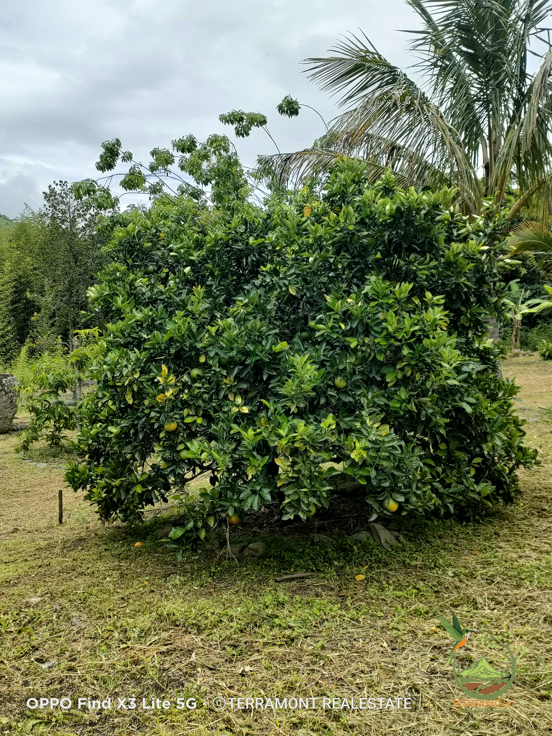 IMG20250210105100