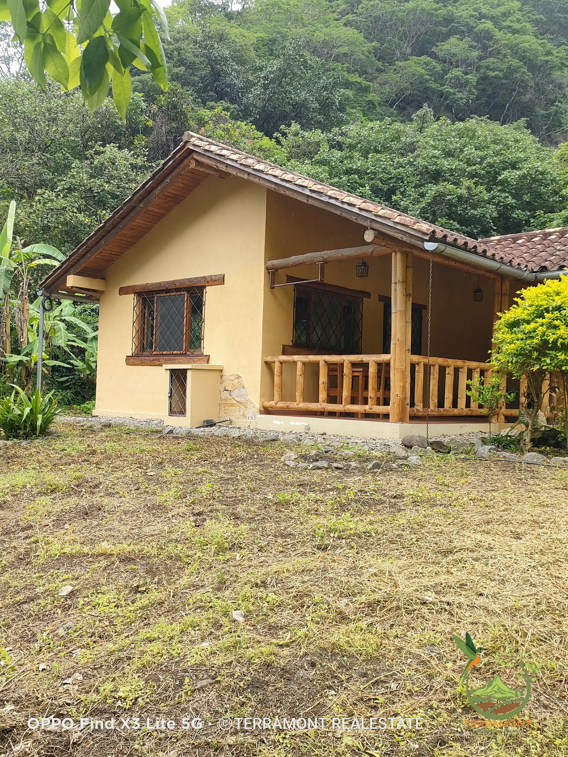 IMG20250210105140