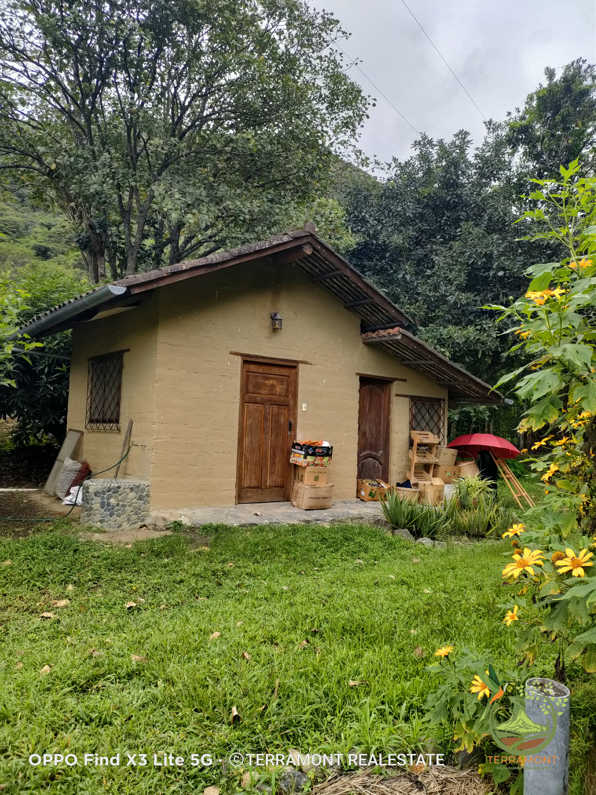IMG20250210105901