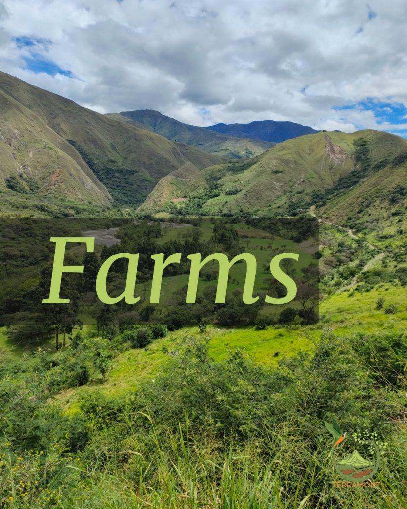 Terramont Real State