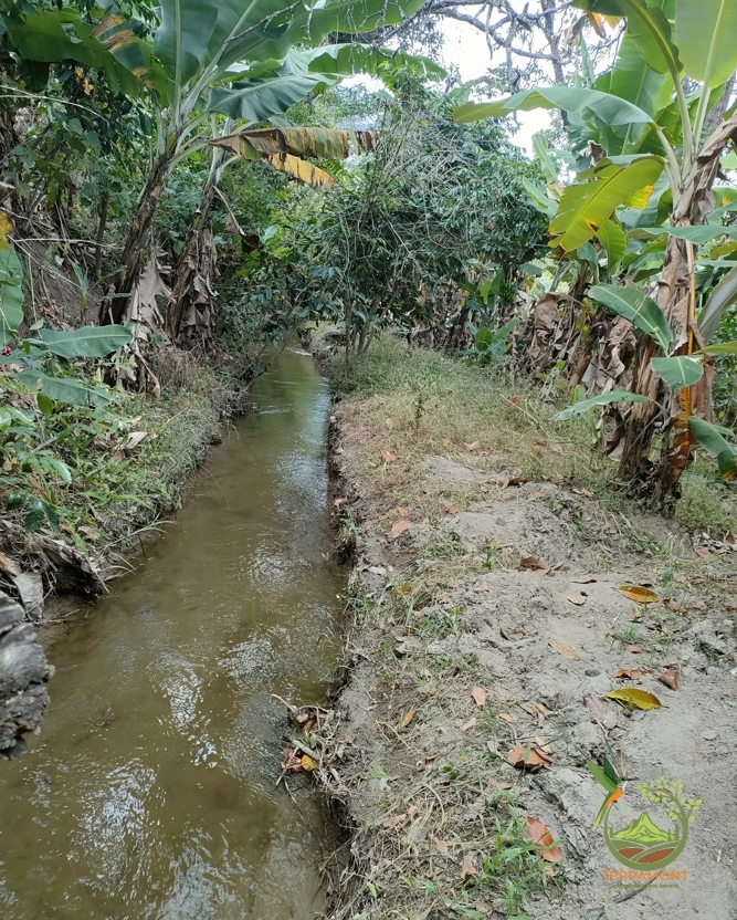 Captura-de-pantalla-2025-07-17-092919~1