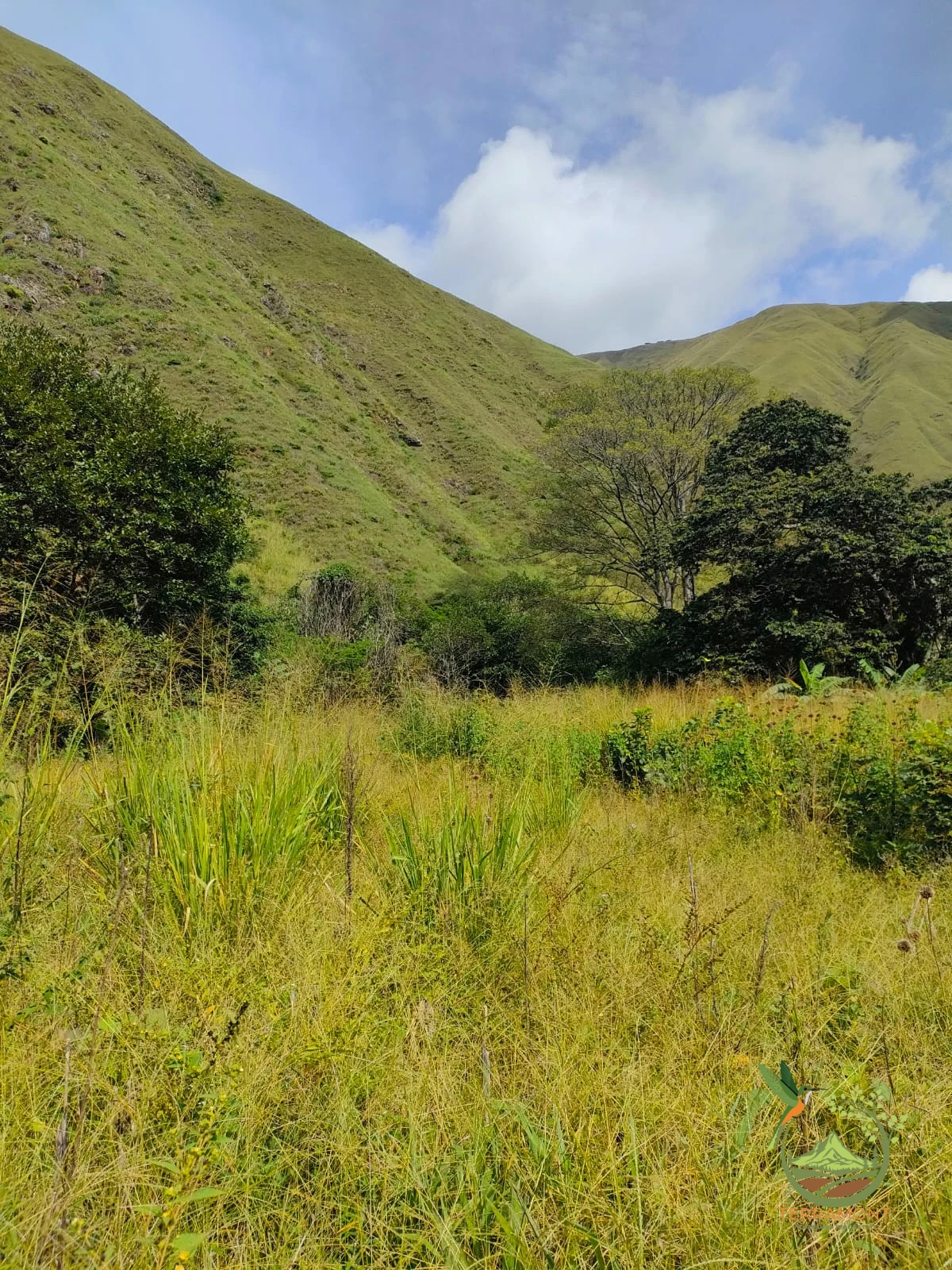 IMG-20240826-WA0013~1