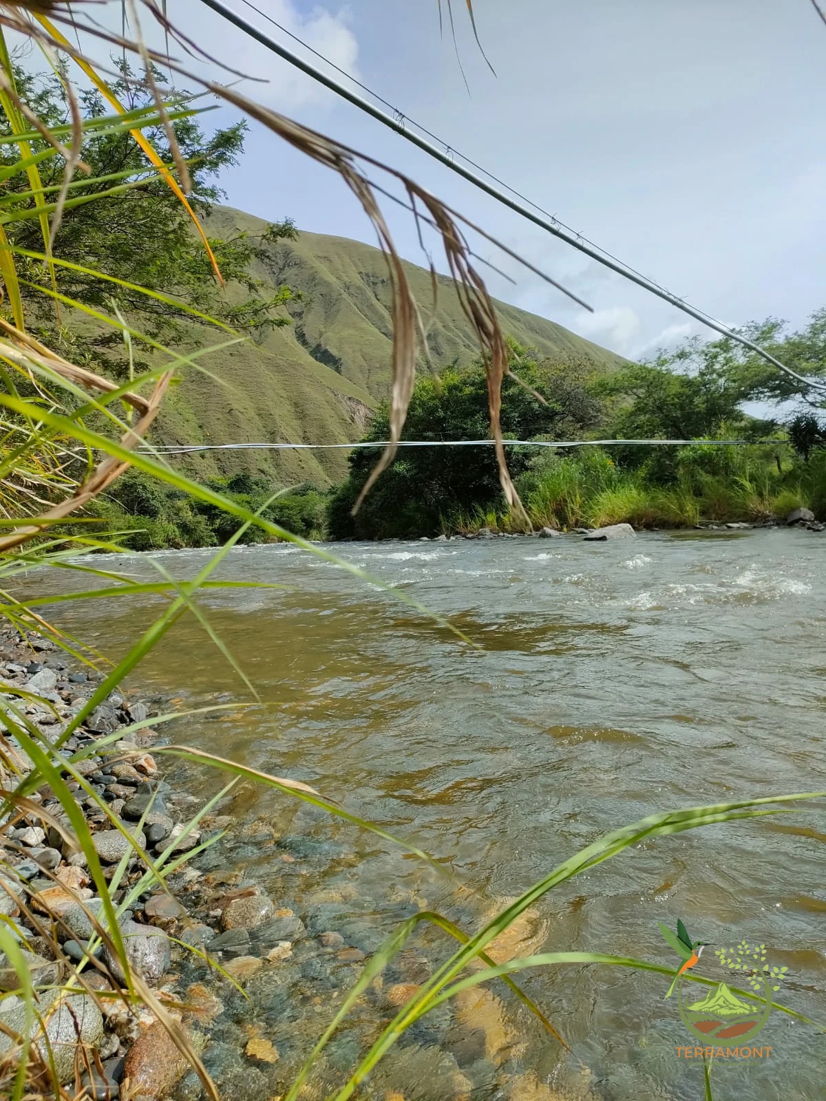 IMG-20240826-WA0025~1