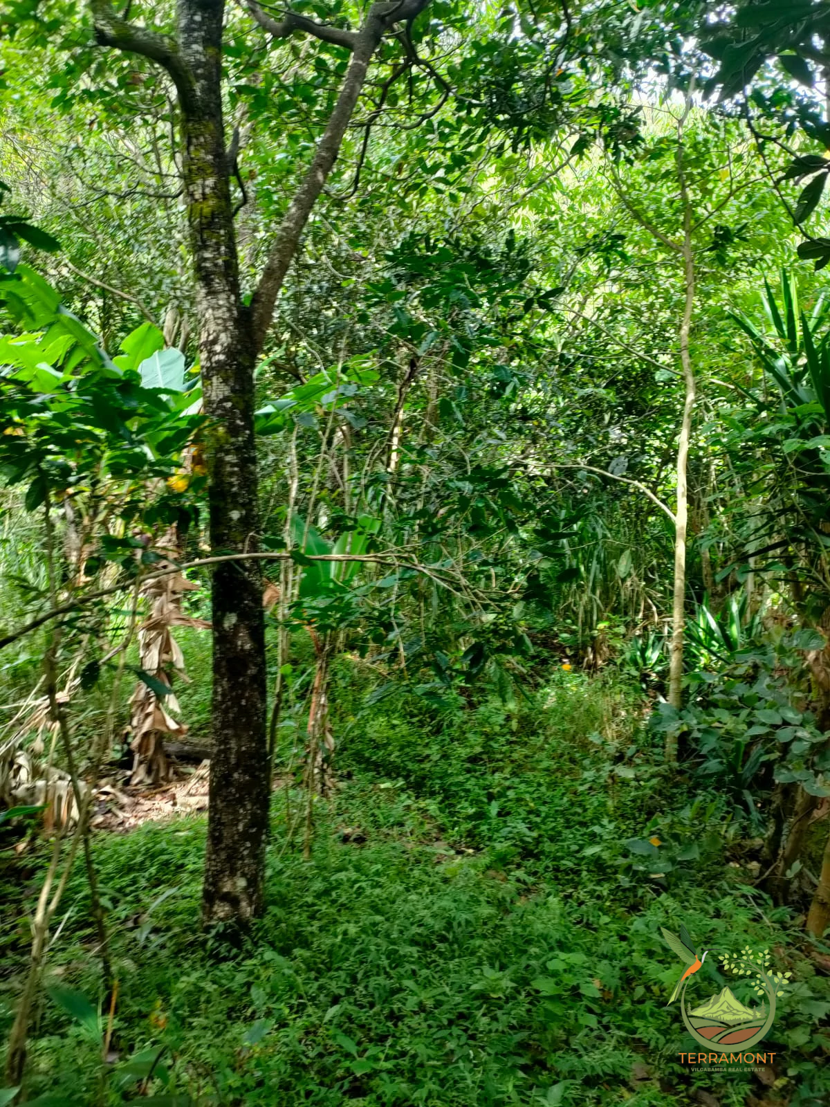 IMG-20240826-WA0043~1