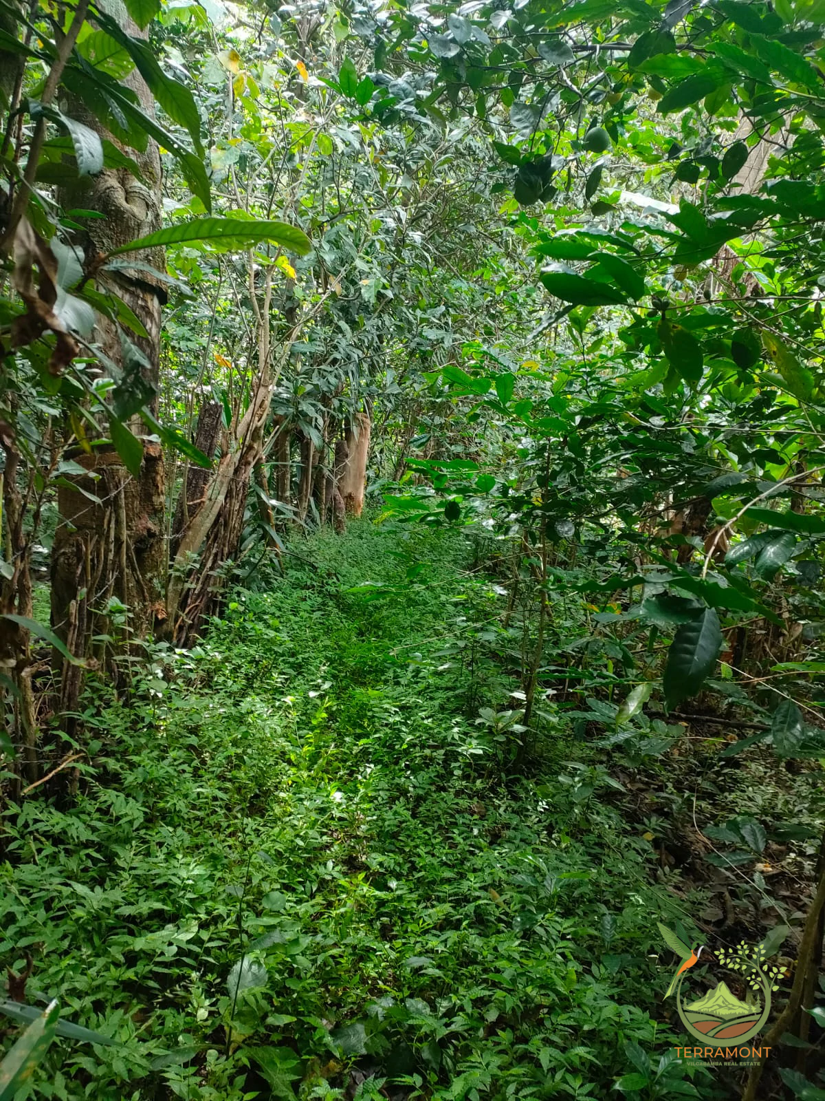 IMG-20240826-WA0044~1