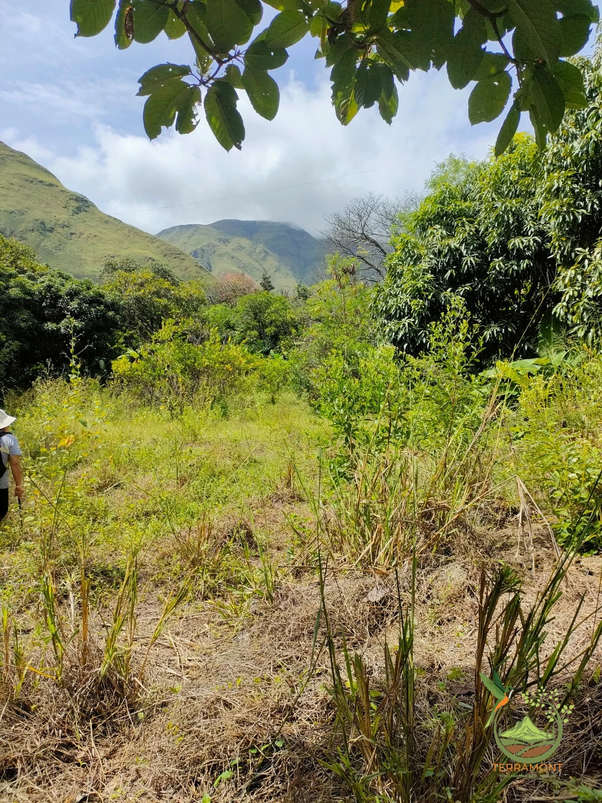 IMG-20240826-WA0049~1