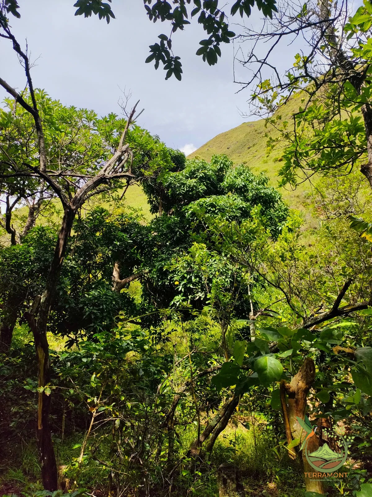 IMG-20240826-WA0052~1