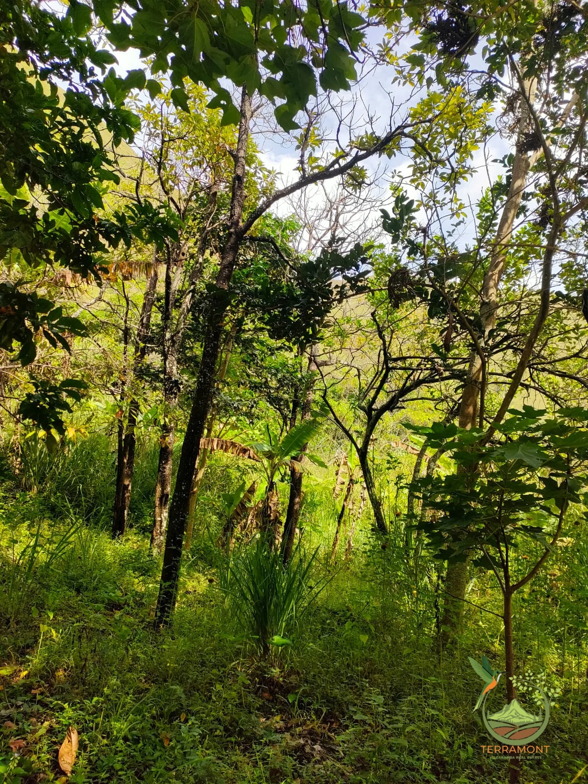 IMG-20240826-WA0055~1