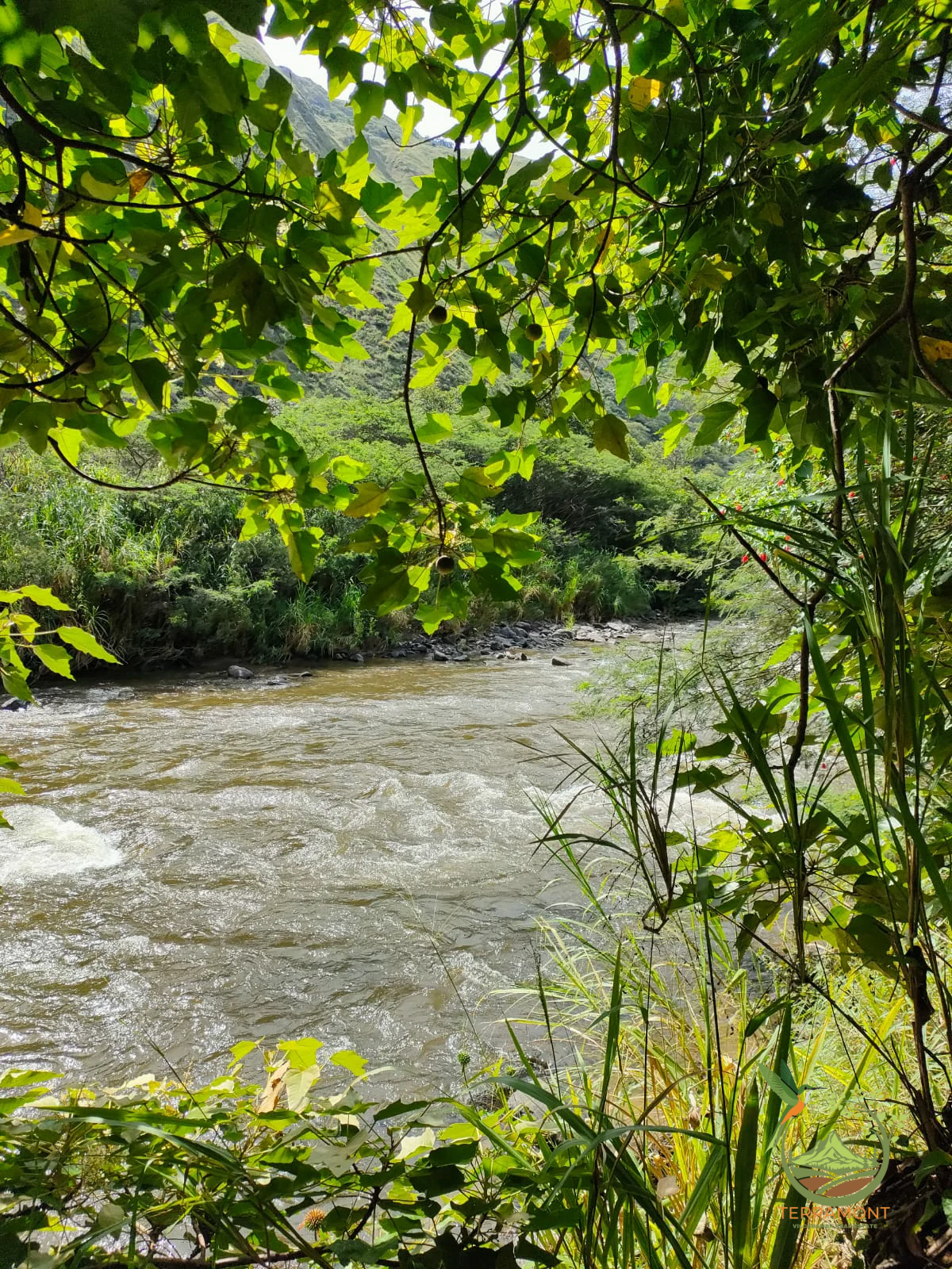 IMG-20240826-WA0057~1