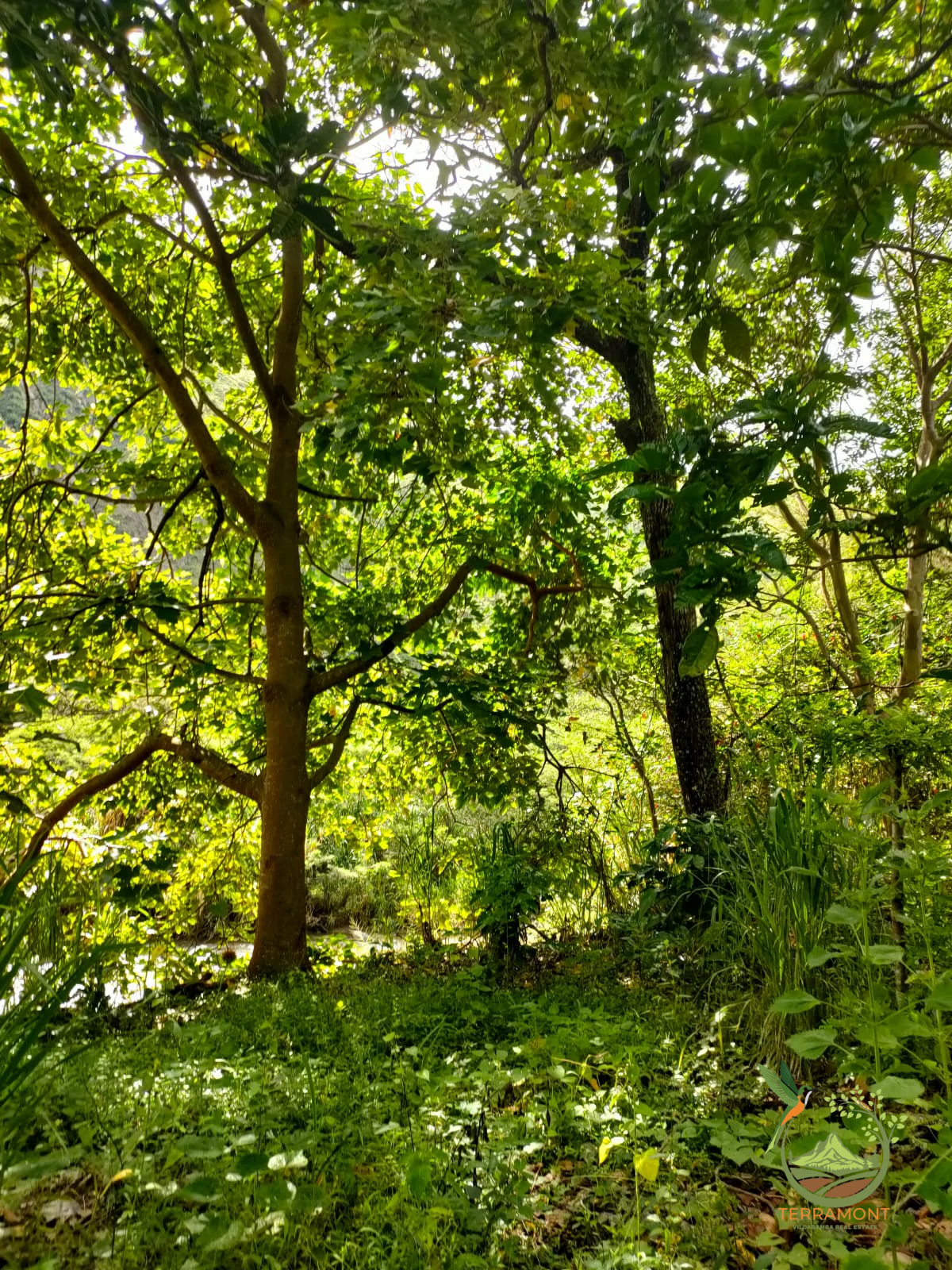 IMG-20240826-WA0059~1