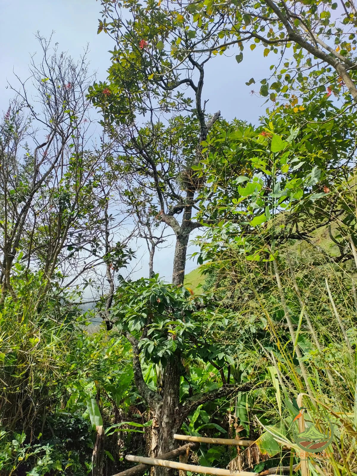 IMG-20240826-WA0072~1