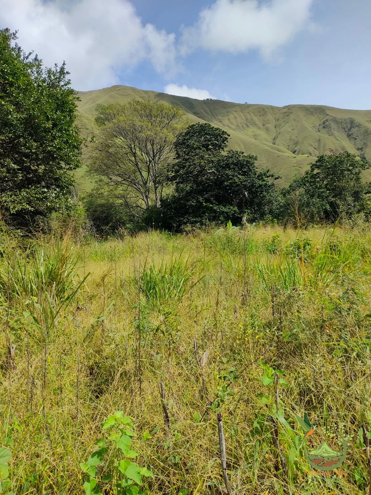 IMG-20240826-WA0081~1