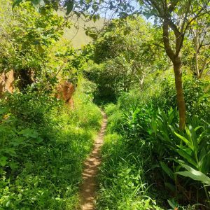 Se Vende Terreno Plano Junto al Río...