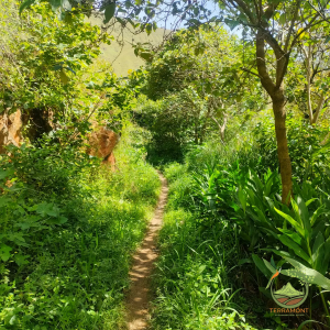 Se Vende Terreno Plano Junto al Río...
