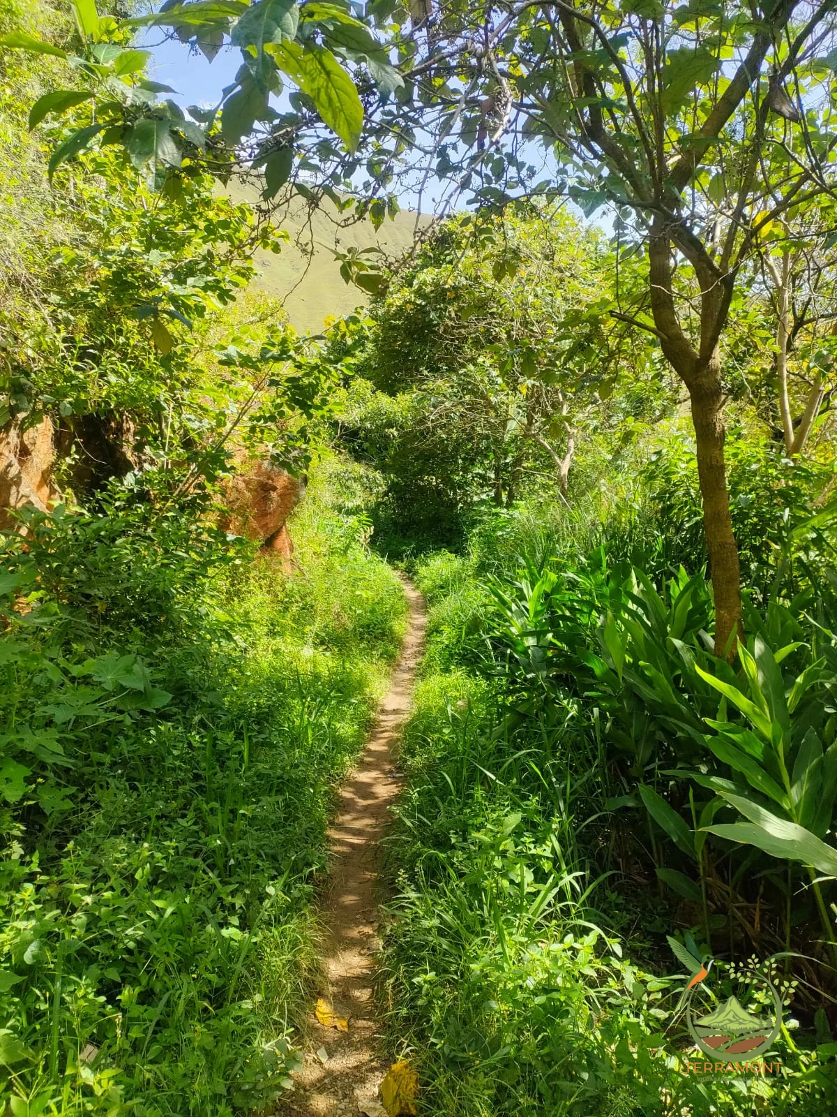 IMG-20240826-WA0086~1