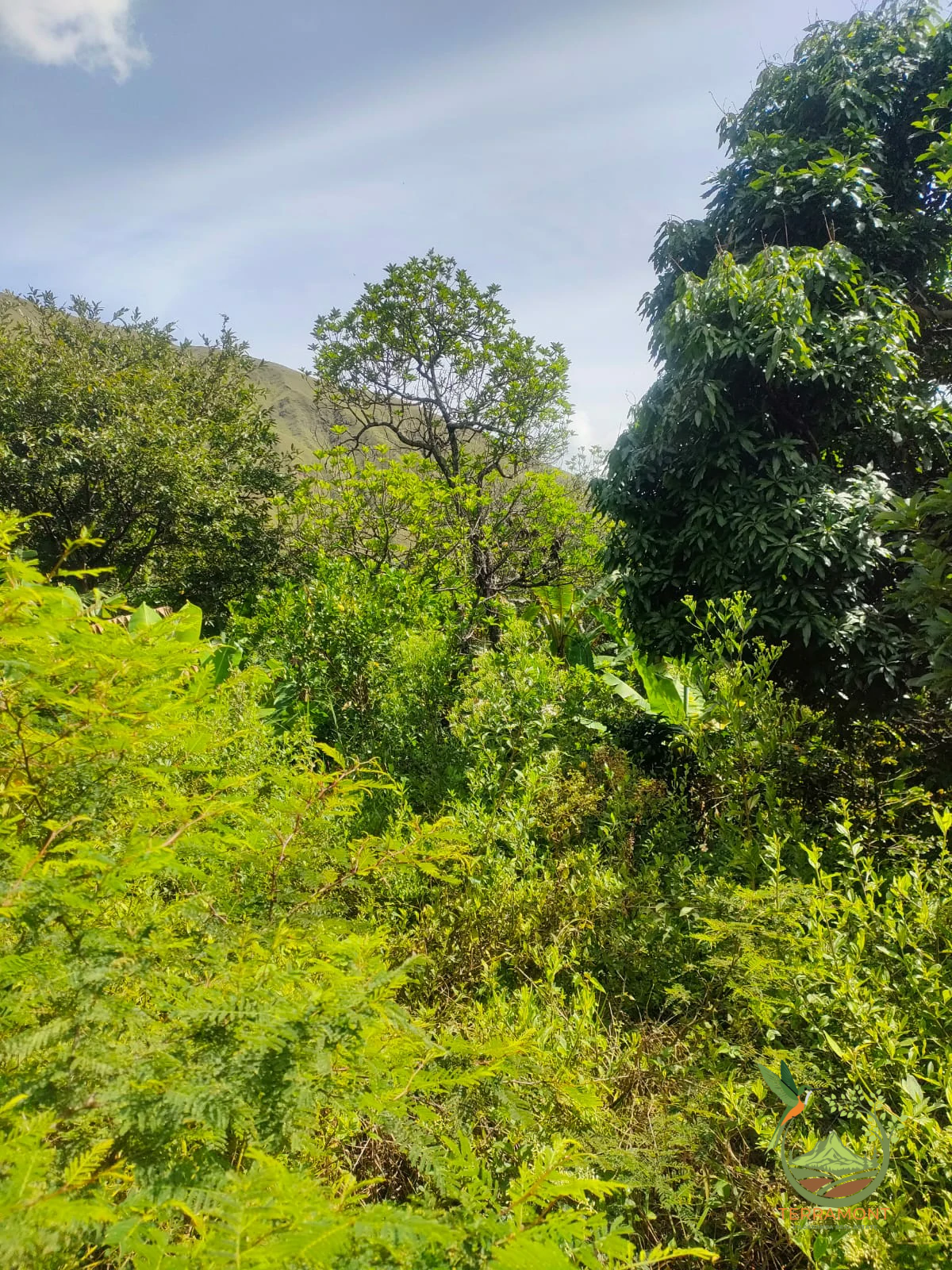 IMG-20240826-WA0095~1